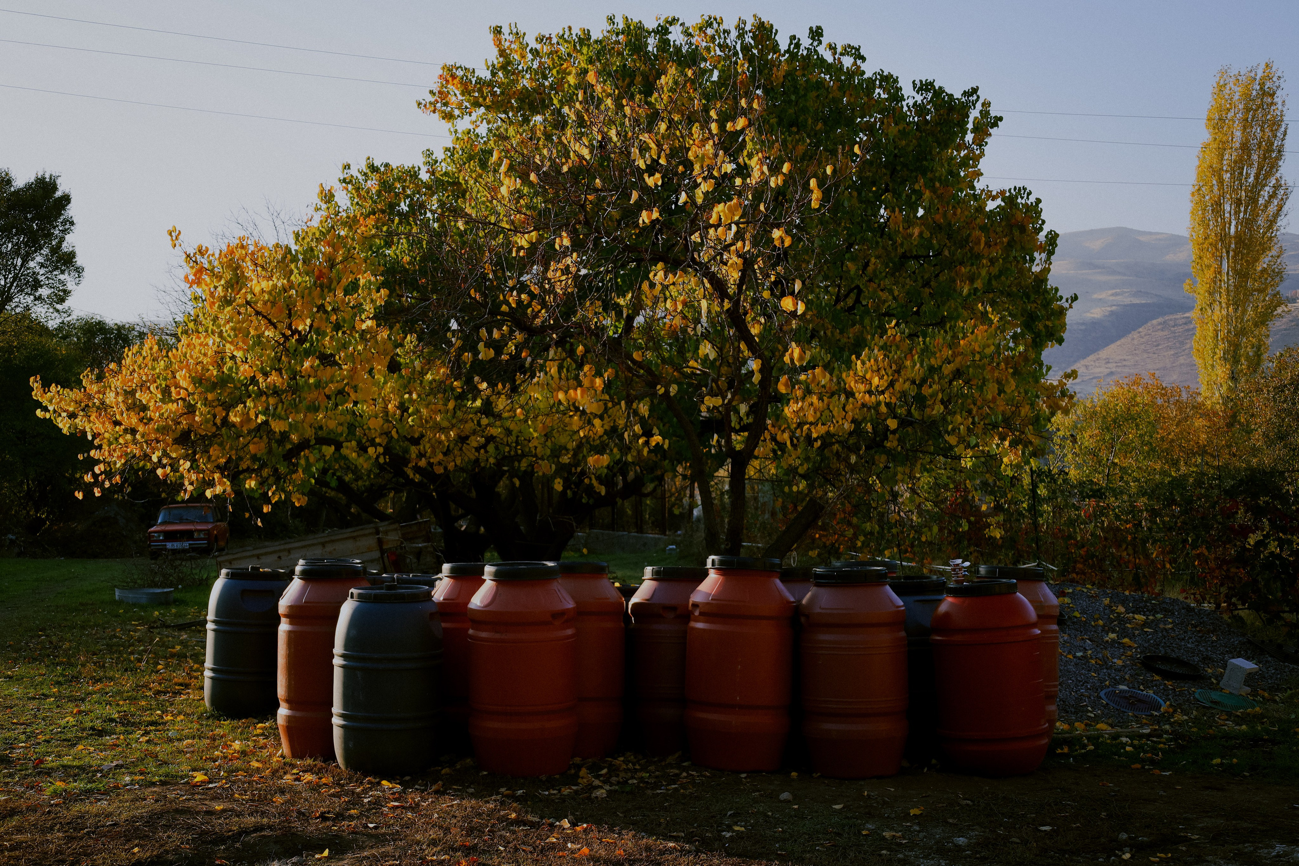 Factory reportage (hand-crafted cider). Asmikiam
