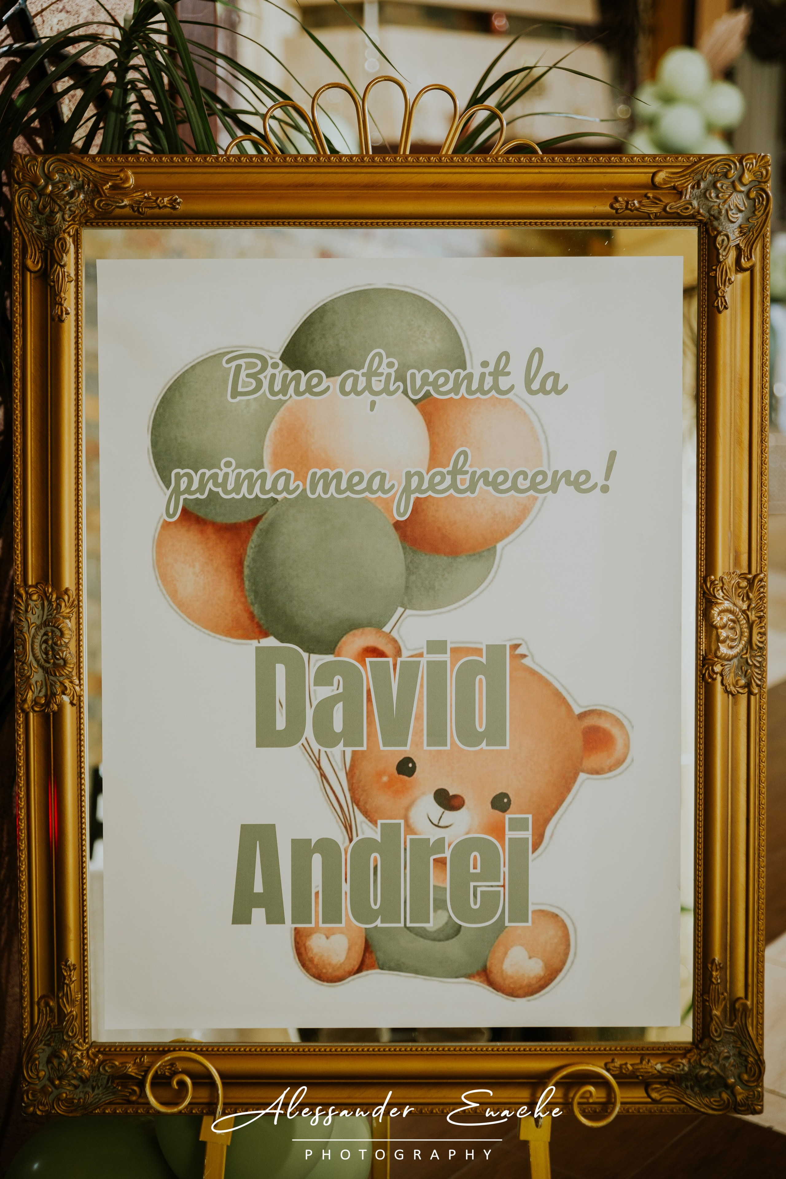 DAVID ANDREI. Fotograf prin #Piatraneamt-Alessander Enache