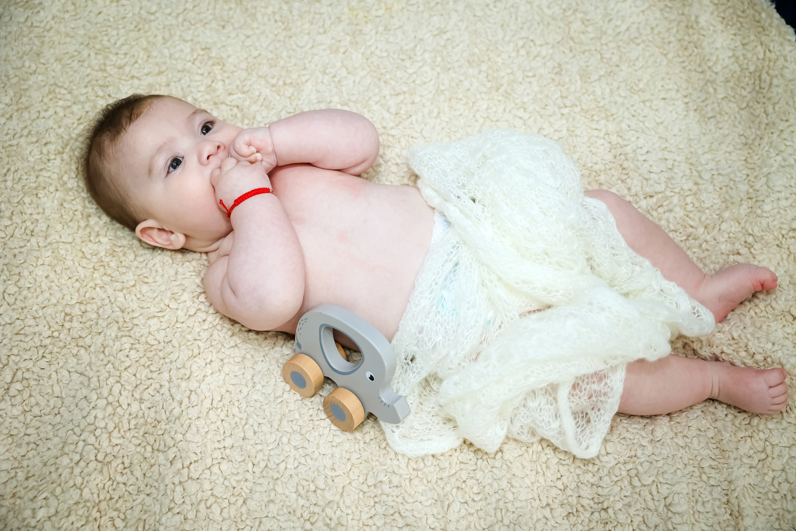 Andrei Damian. Moments By Gub