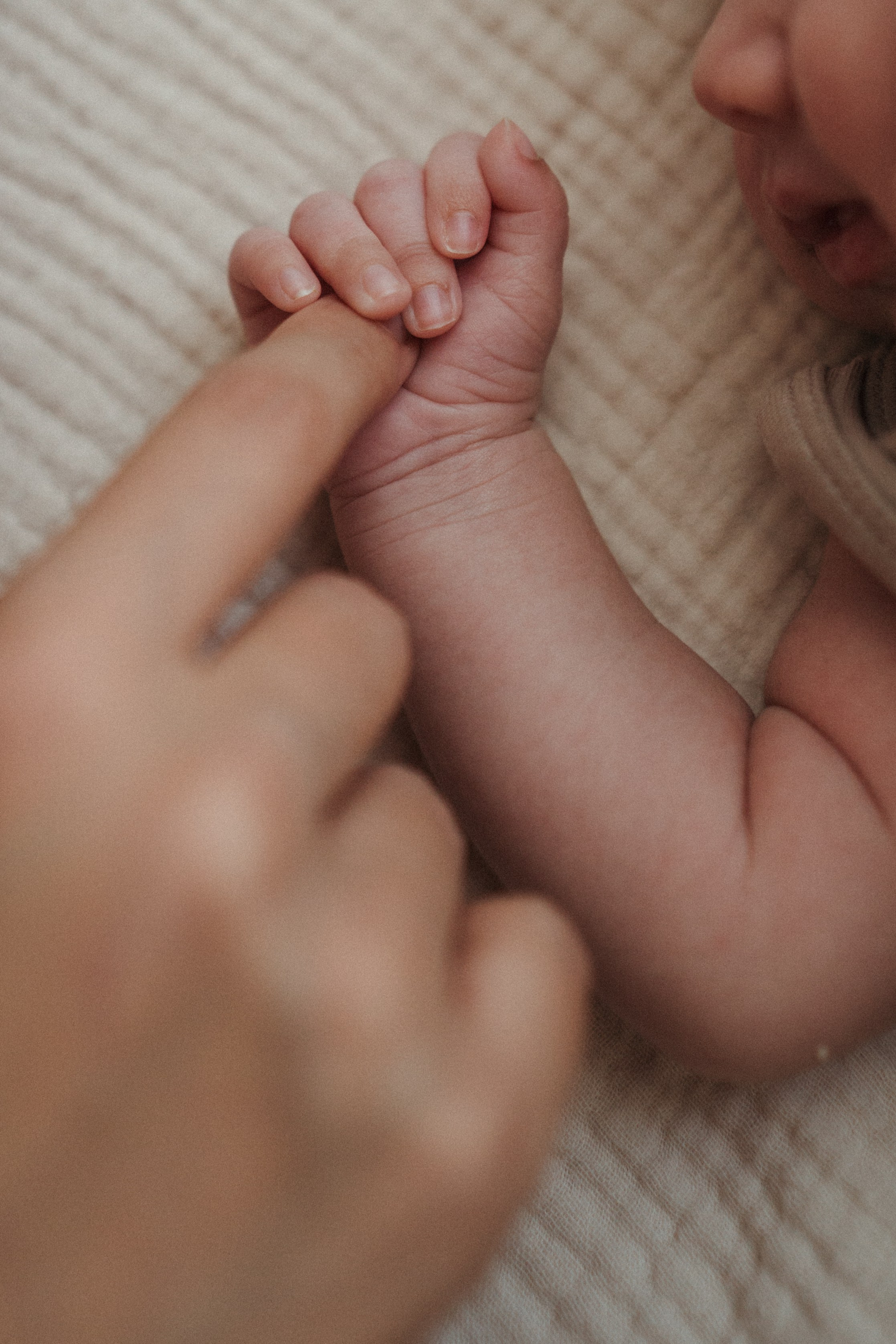 Newborn. Family photographer in Saudi Arabia