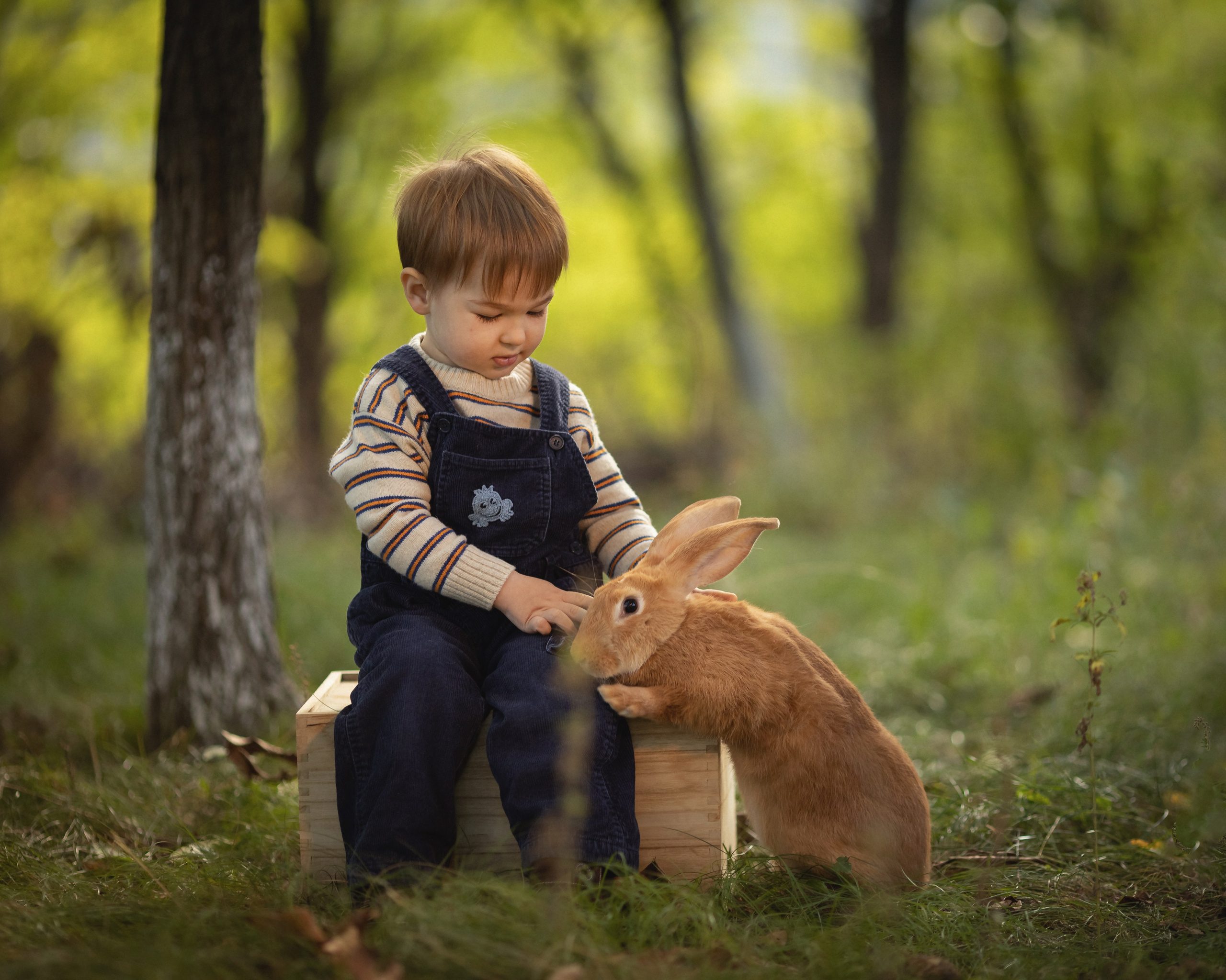 Copii. Fotograf de familie la Ungheni și Reggio-Emilia, Alessia Slivca