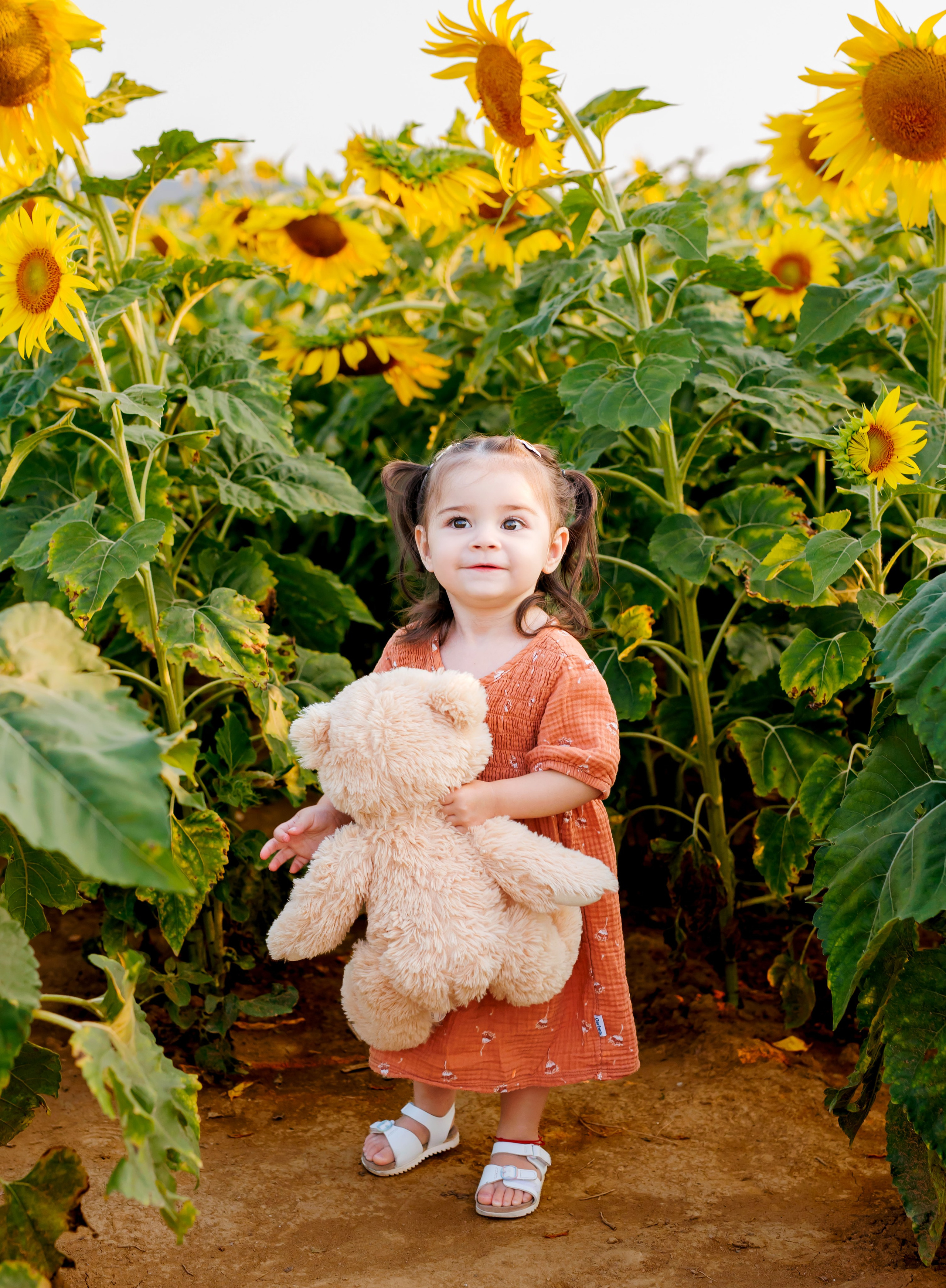 Un’estate tra i 🌻 girasoli- 2026. Luci e Capricci Photography