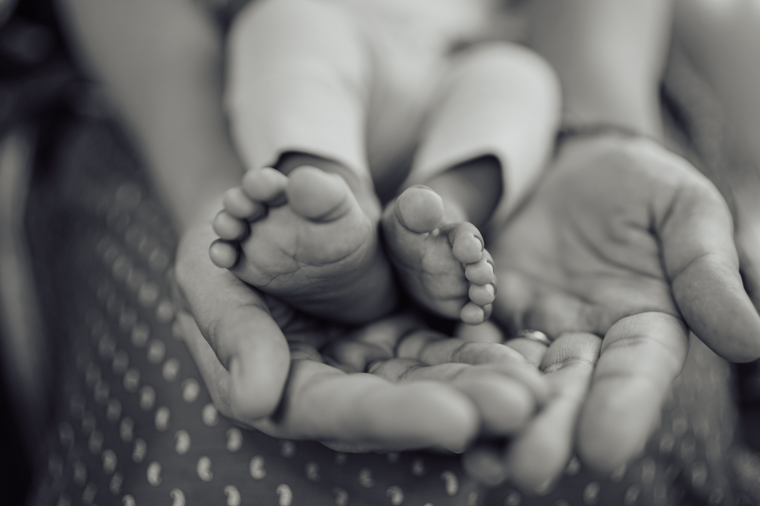 Newborn+Family. Maternity, family and newborn photography in San Francisco Bay Area