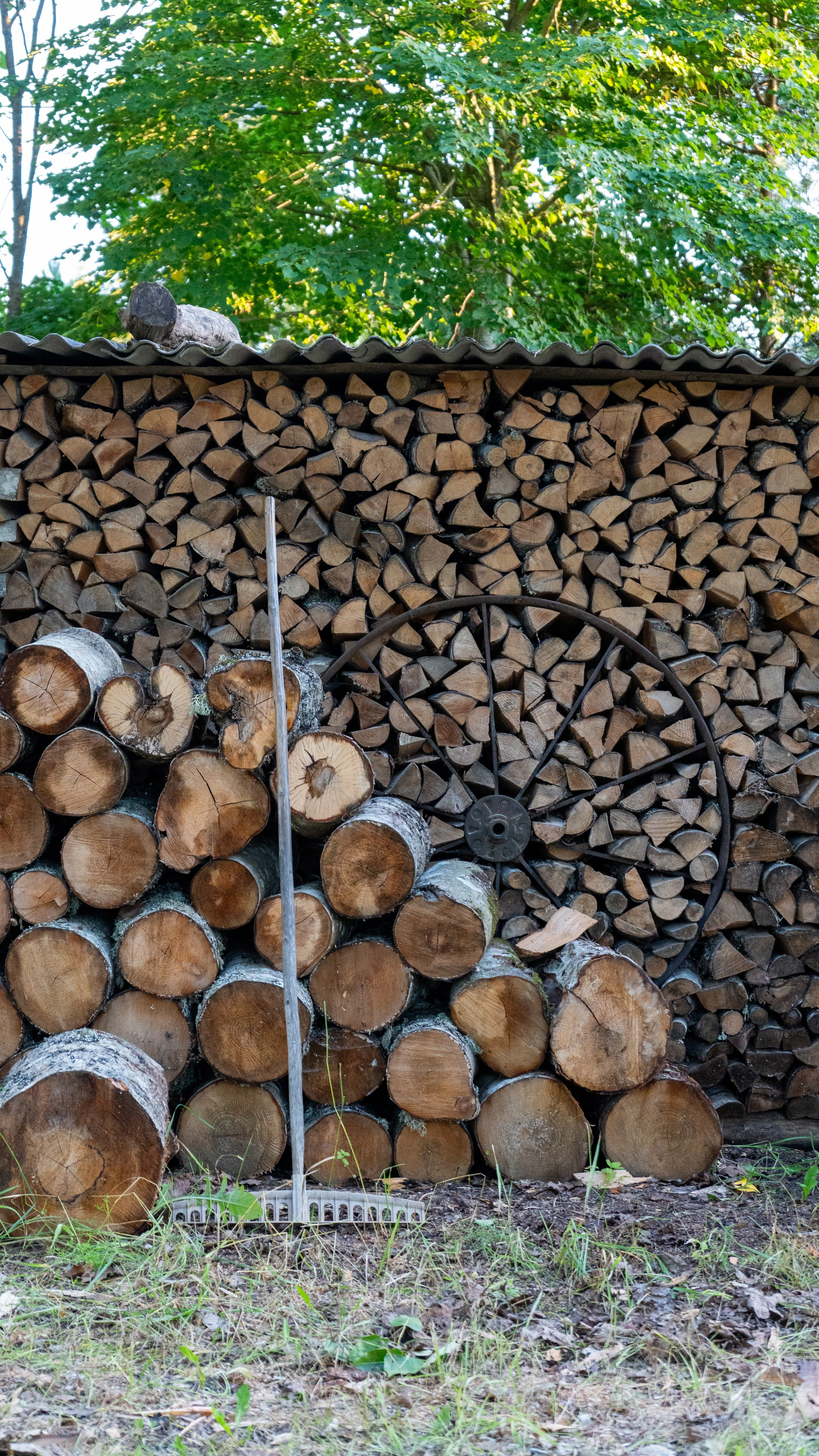 Whispers of Estonia. Photography | Videography | Marketing