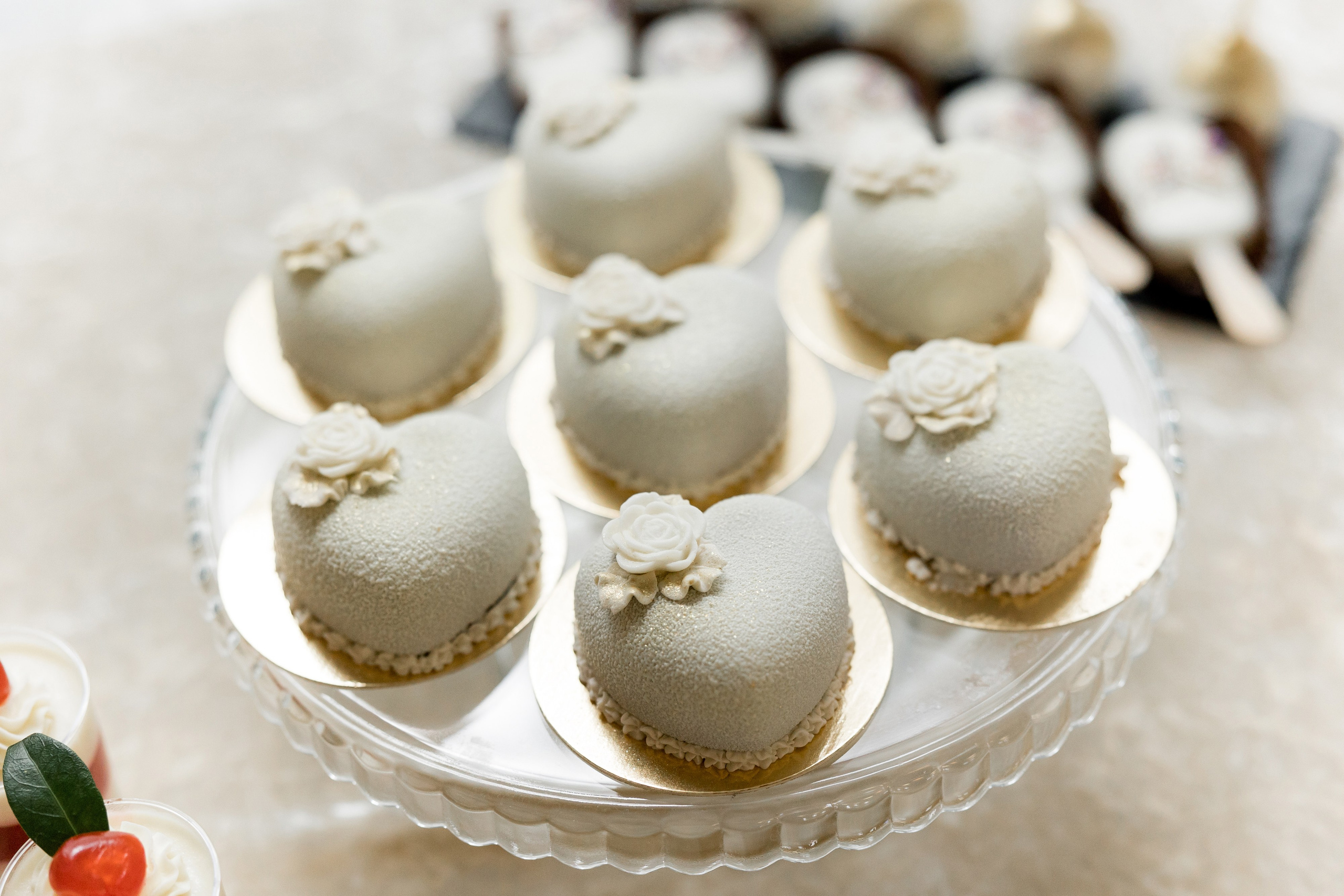 Anna Dmytro. Ірина Терещук