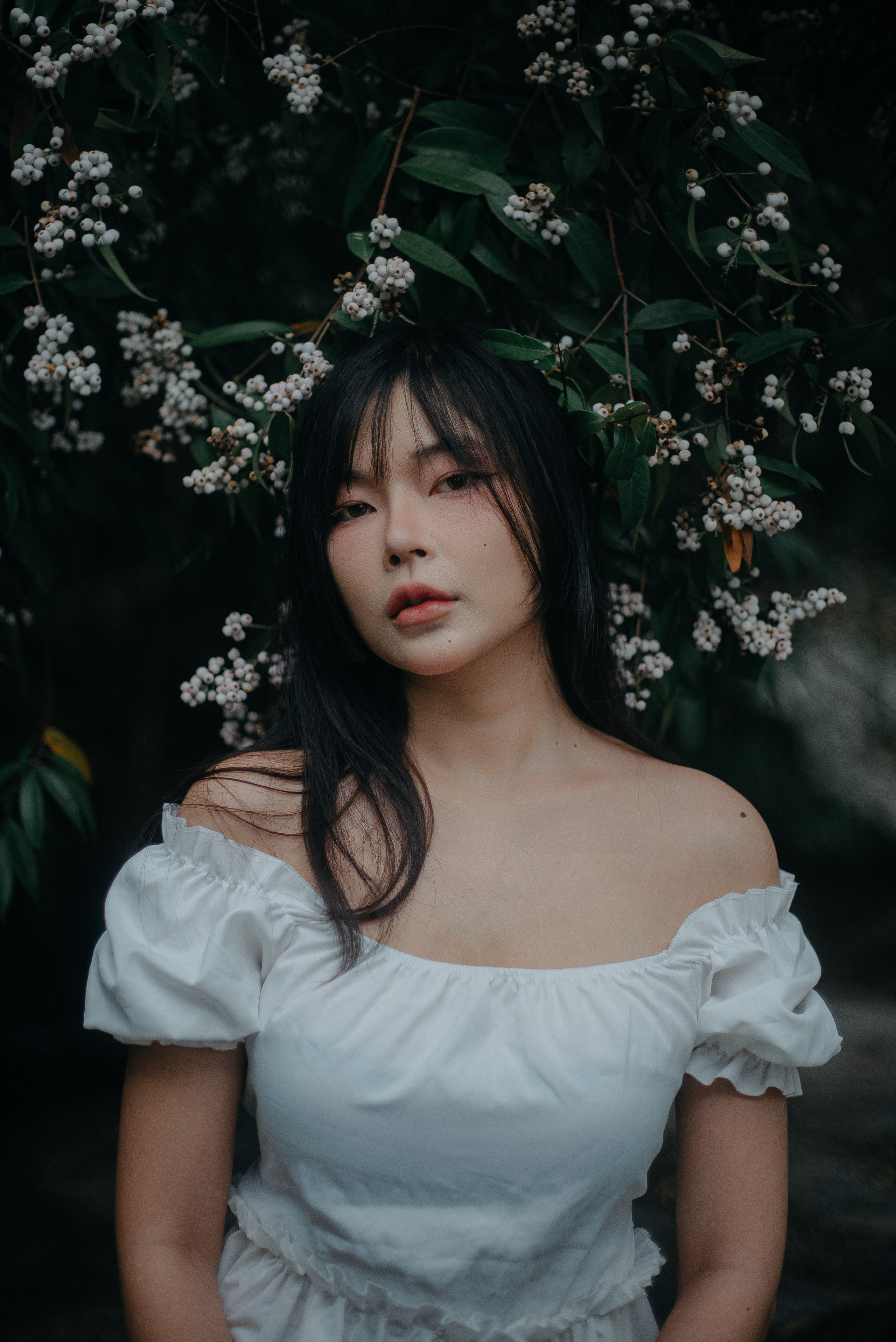 Photographer Chiang Mai