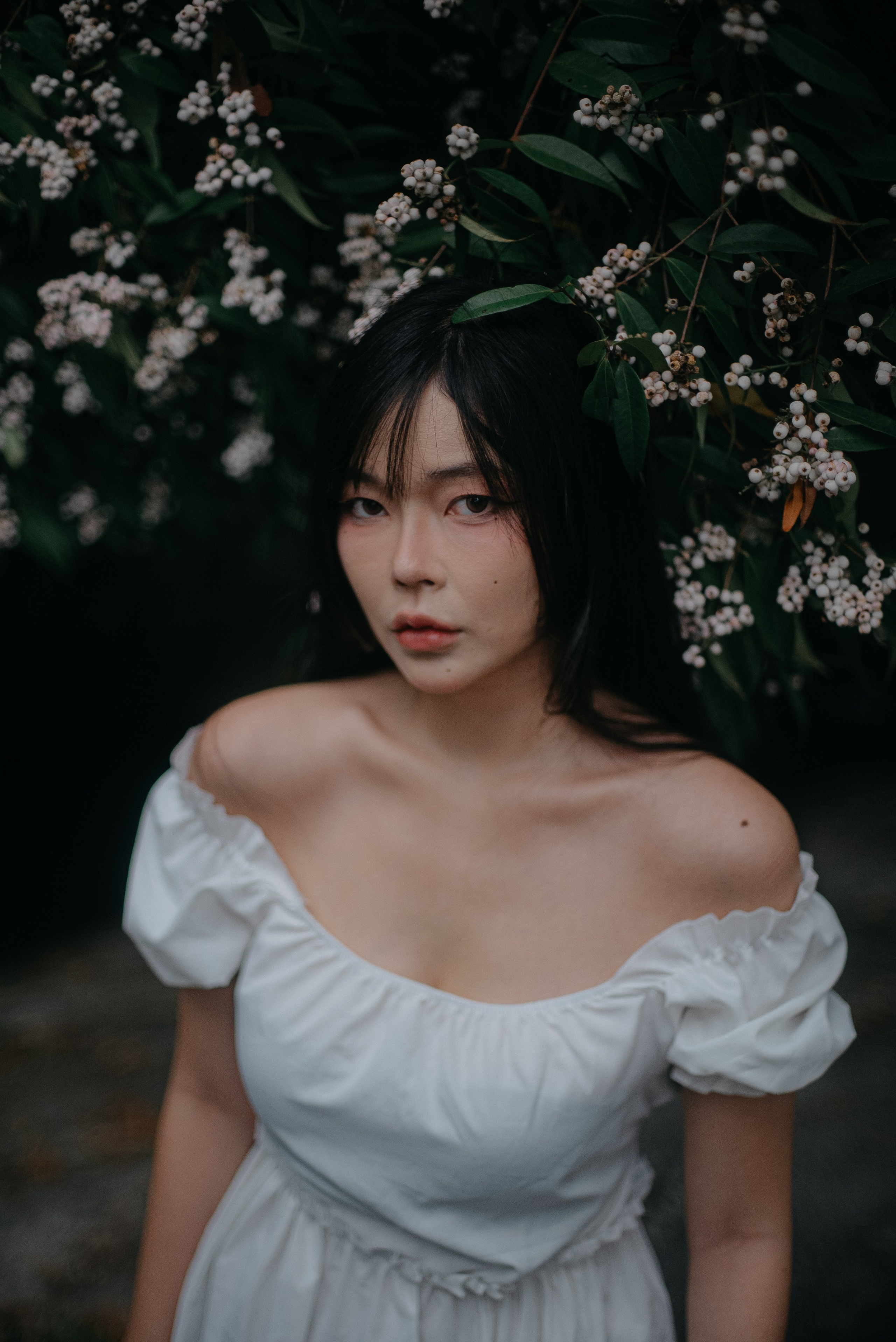Photographer Chiang Mai
