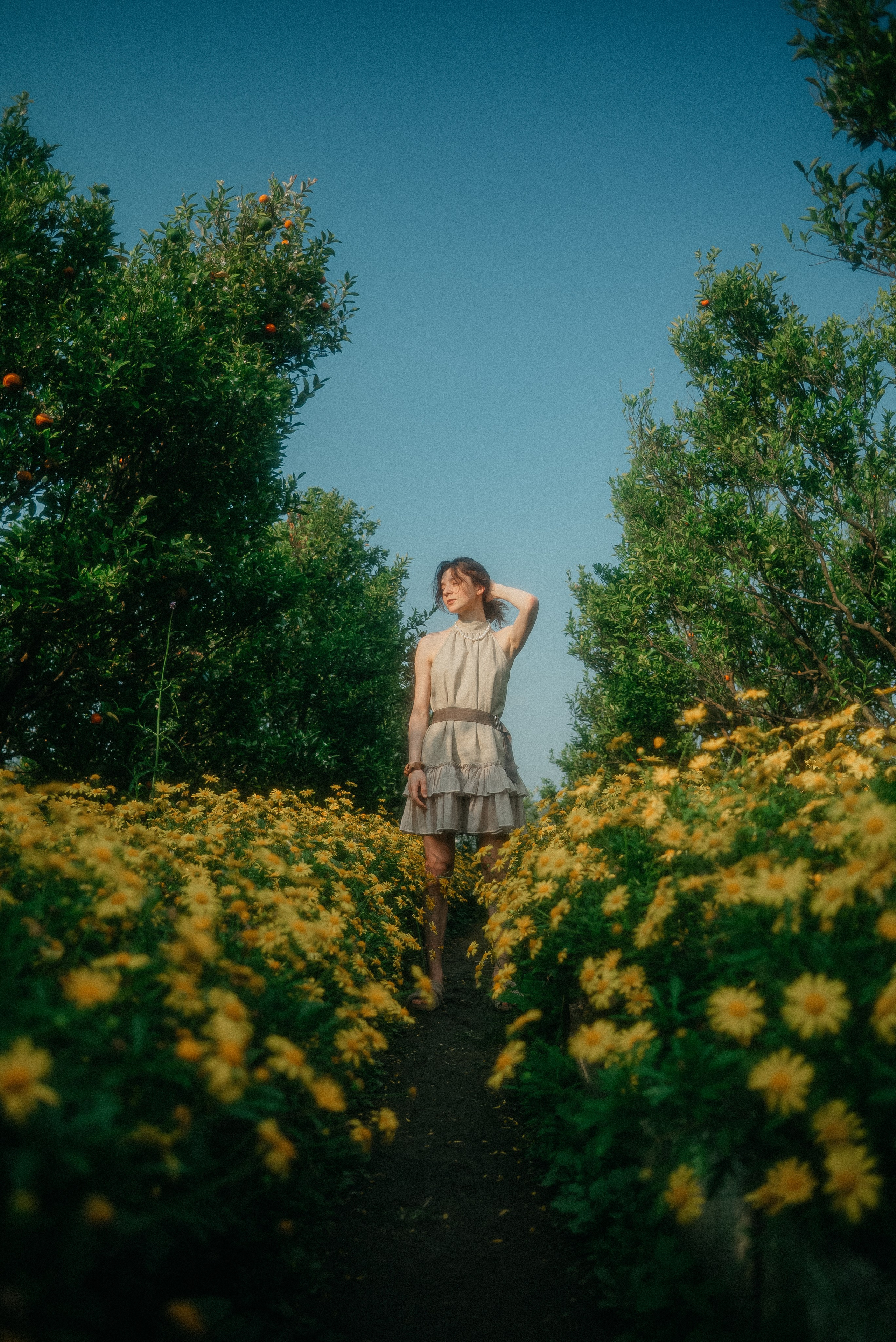 Photographer Chiang Mai