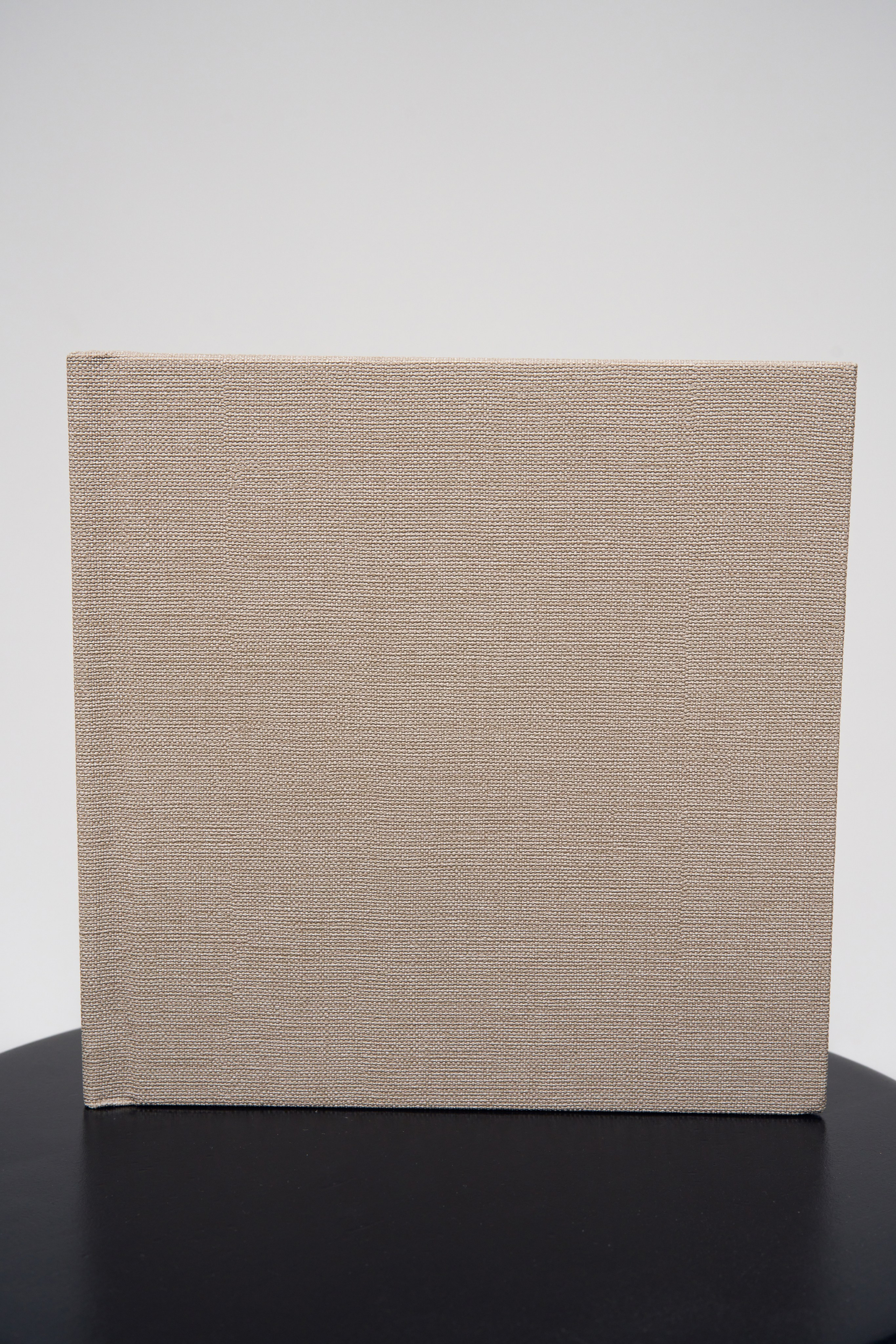 Pregnancy. Studio Timis