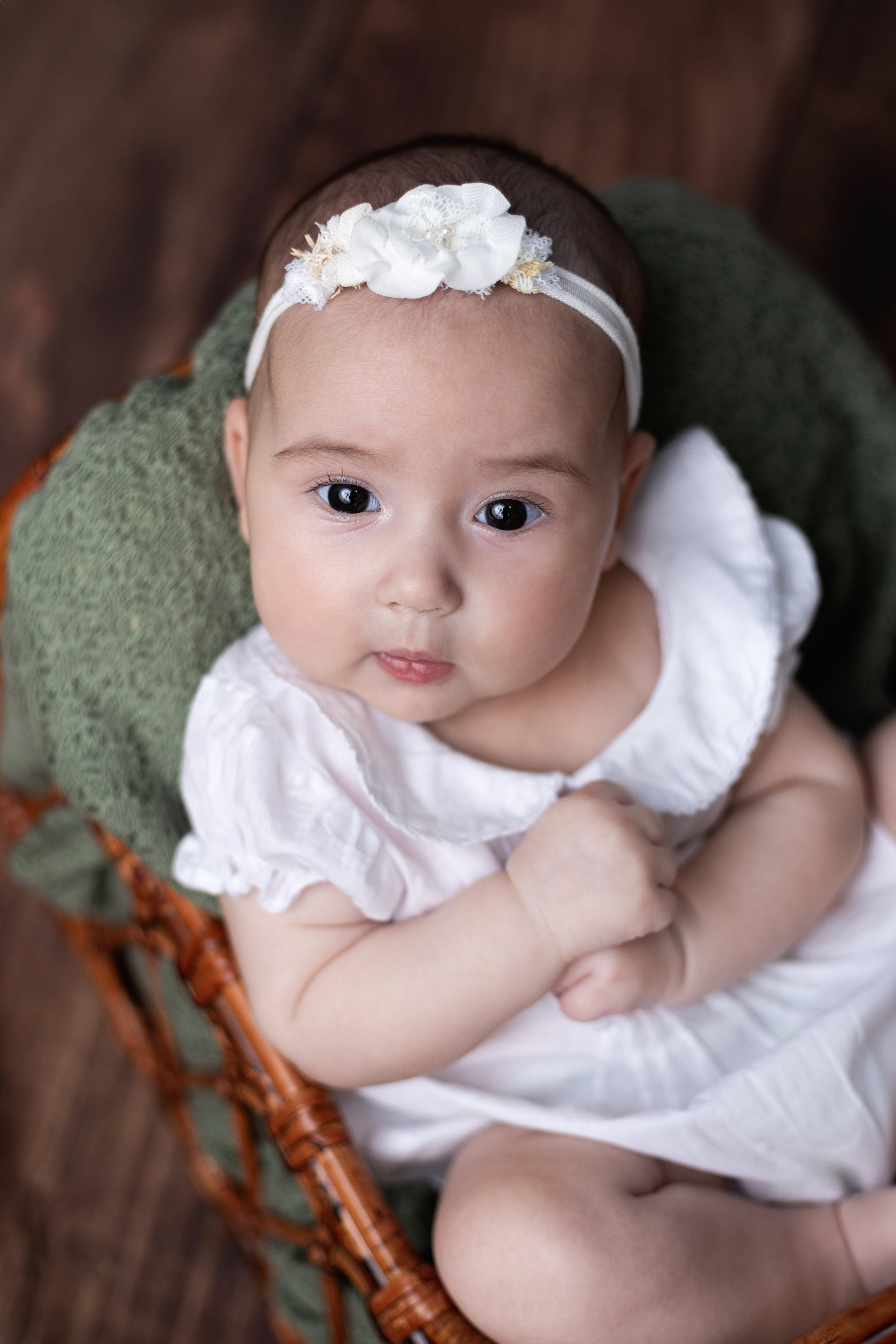 Family and newborn photographer