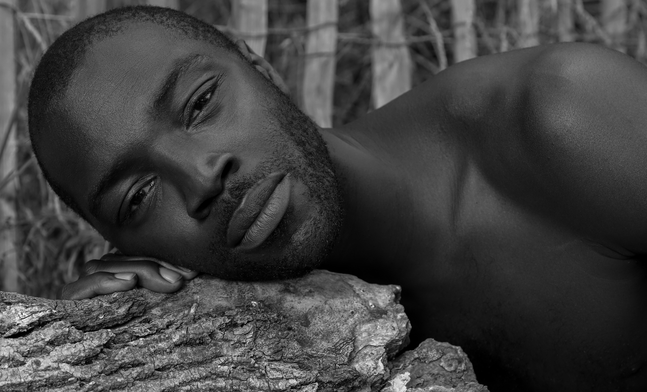 STEVE. Photographe Karen Tatevosian