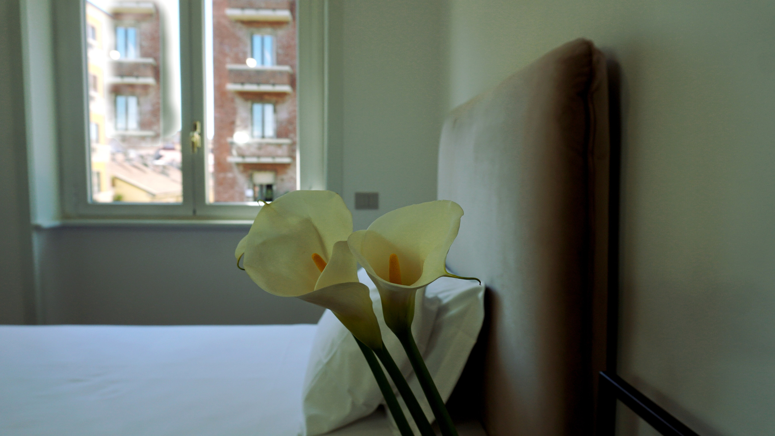 SPAZIO E STILE. Fotografa e Videografa in Puglia Sokhova Albina