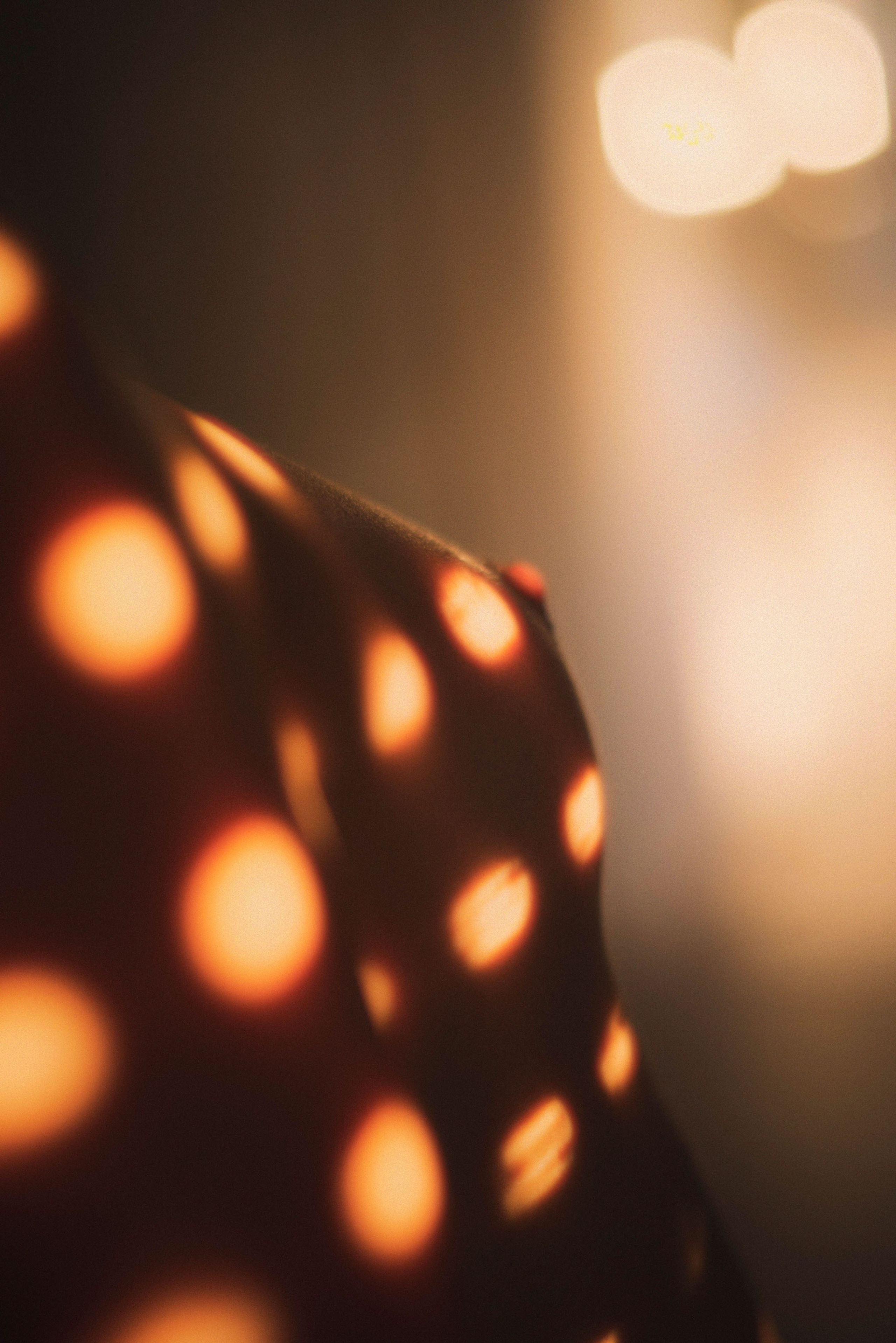 Sunset. Žukov Studio