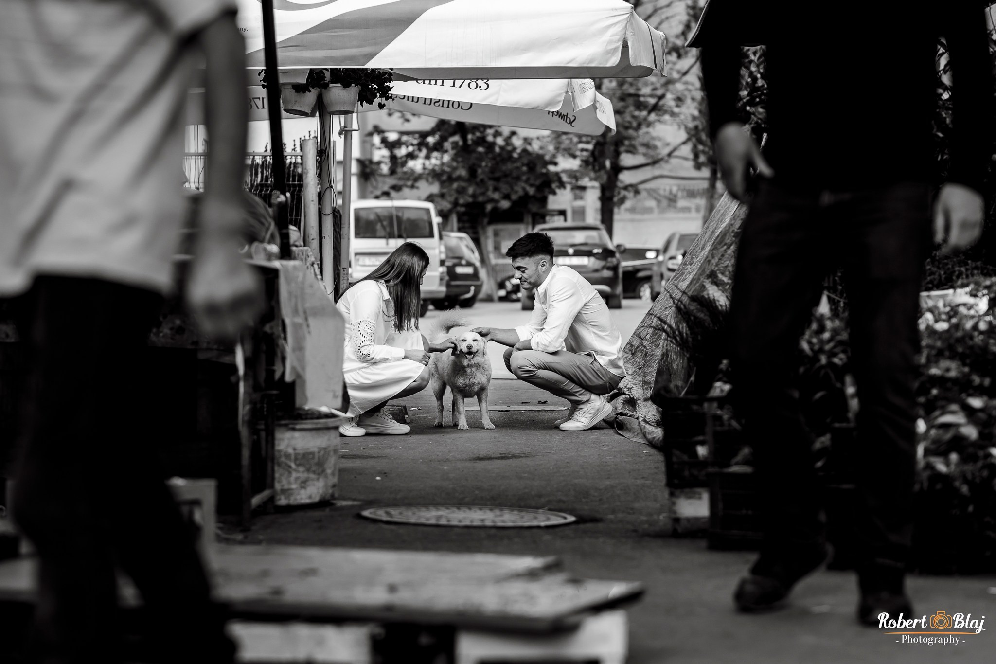 Simina & Dragoș. Robert Blaj - Fotograf Nuntă Iași