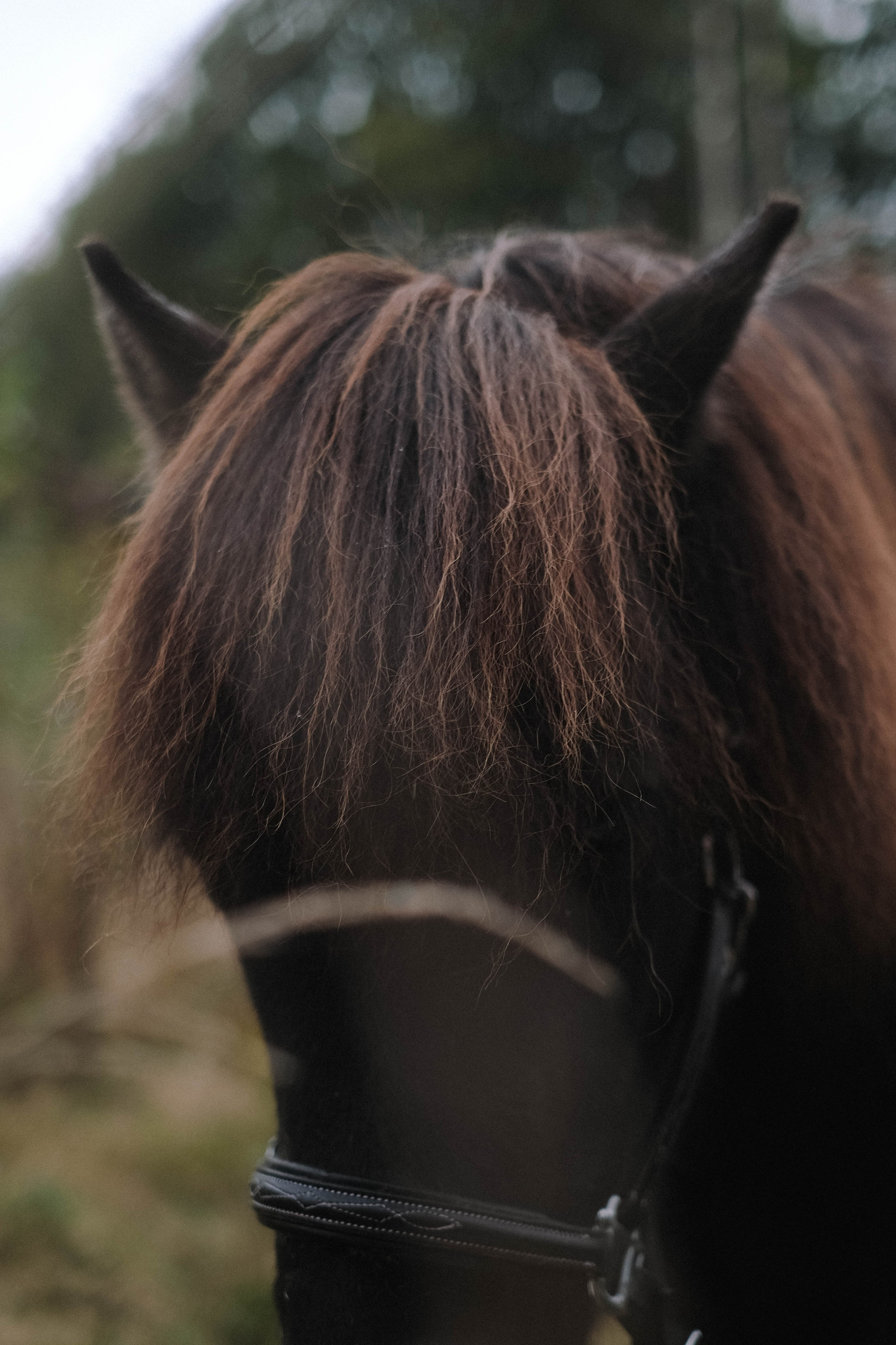 Paula, Fynn&Steve. Authentische Familienfotografie in Köln
