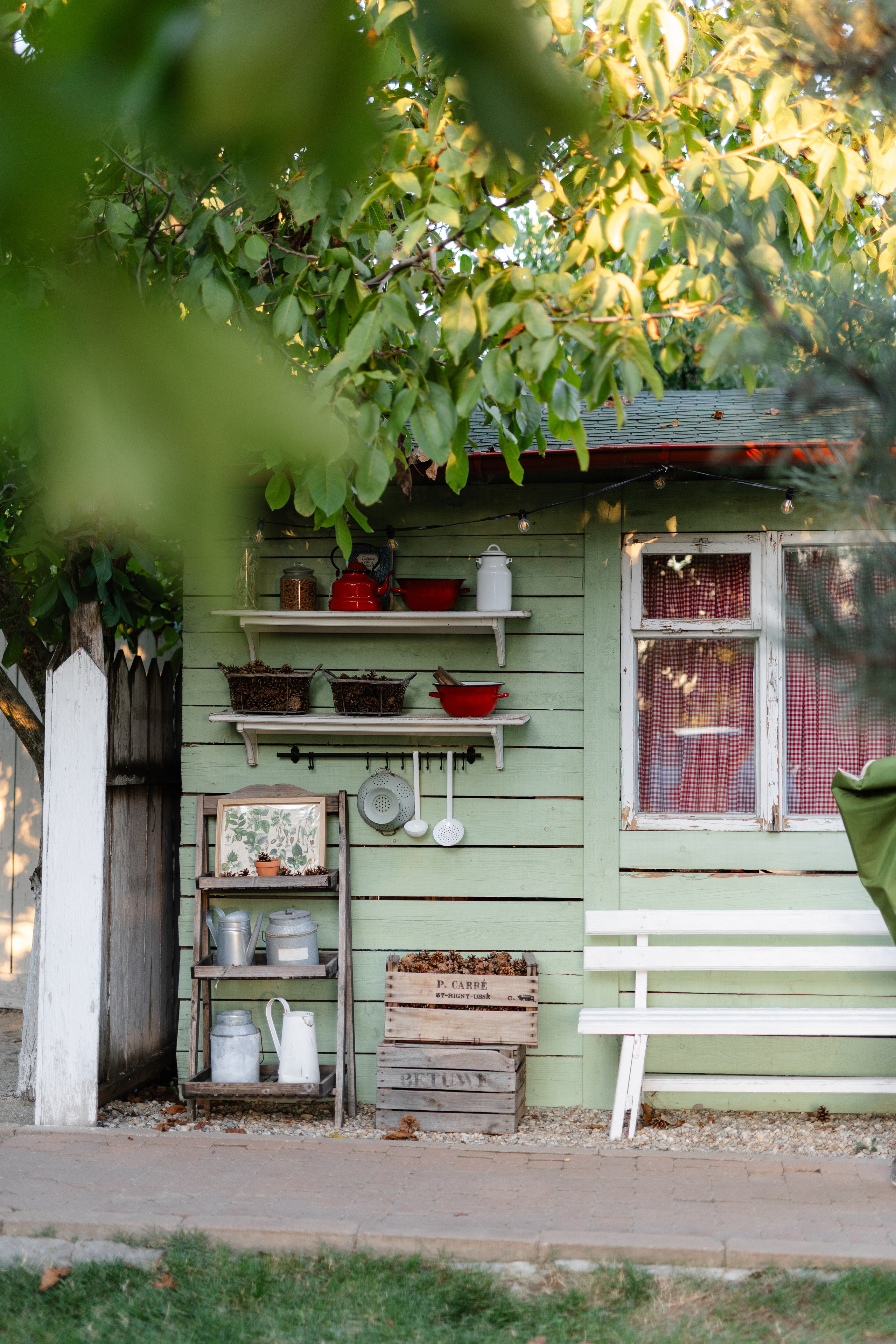 Natalia & Costin. Main