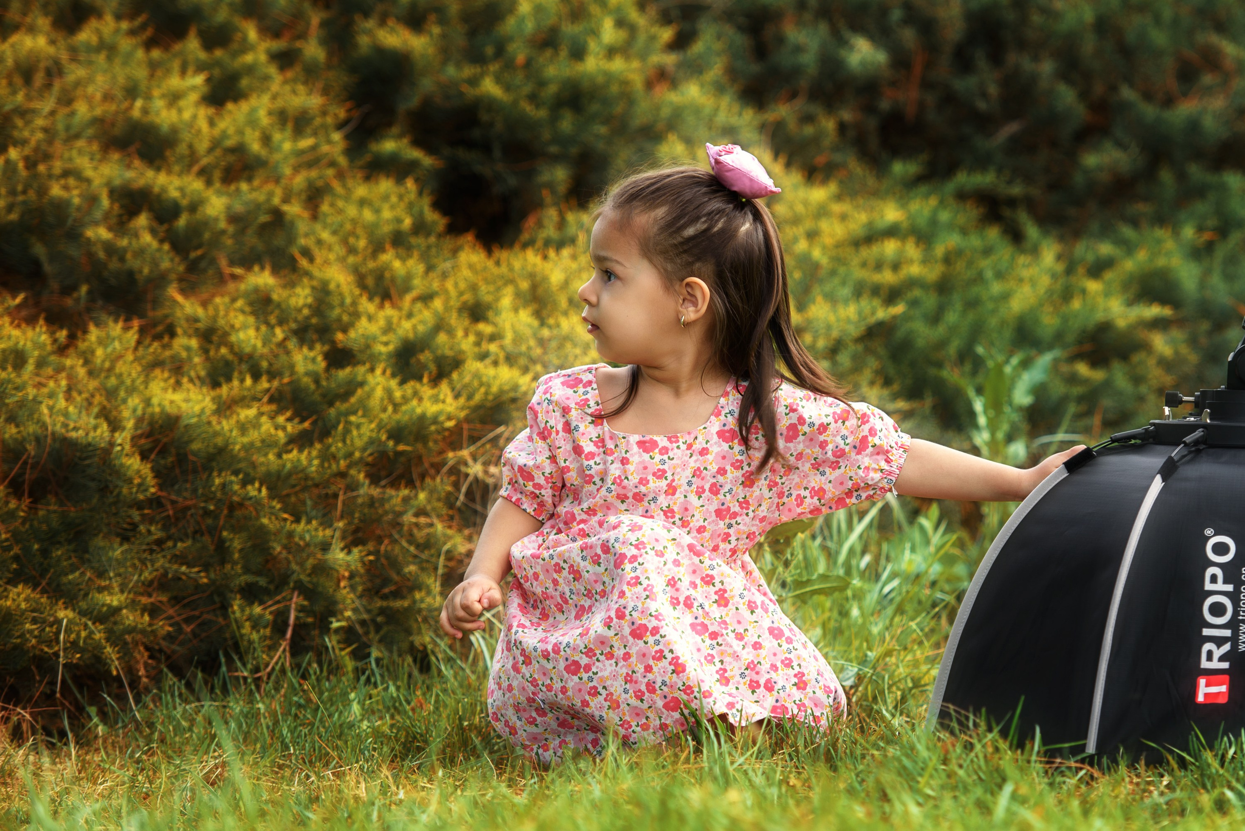 «Ассистент фотографа». Ваш фотограф в Ашхабаде Гамлет Осипов