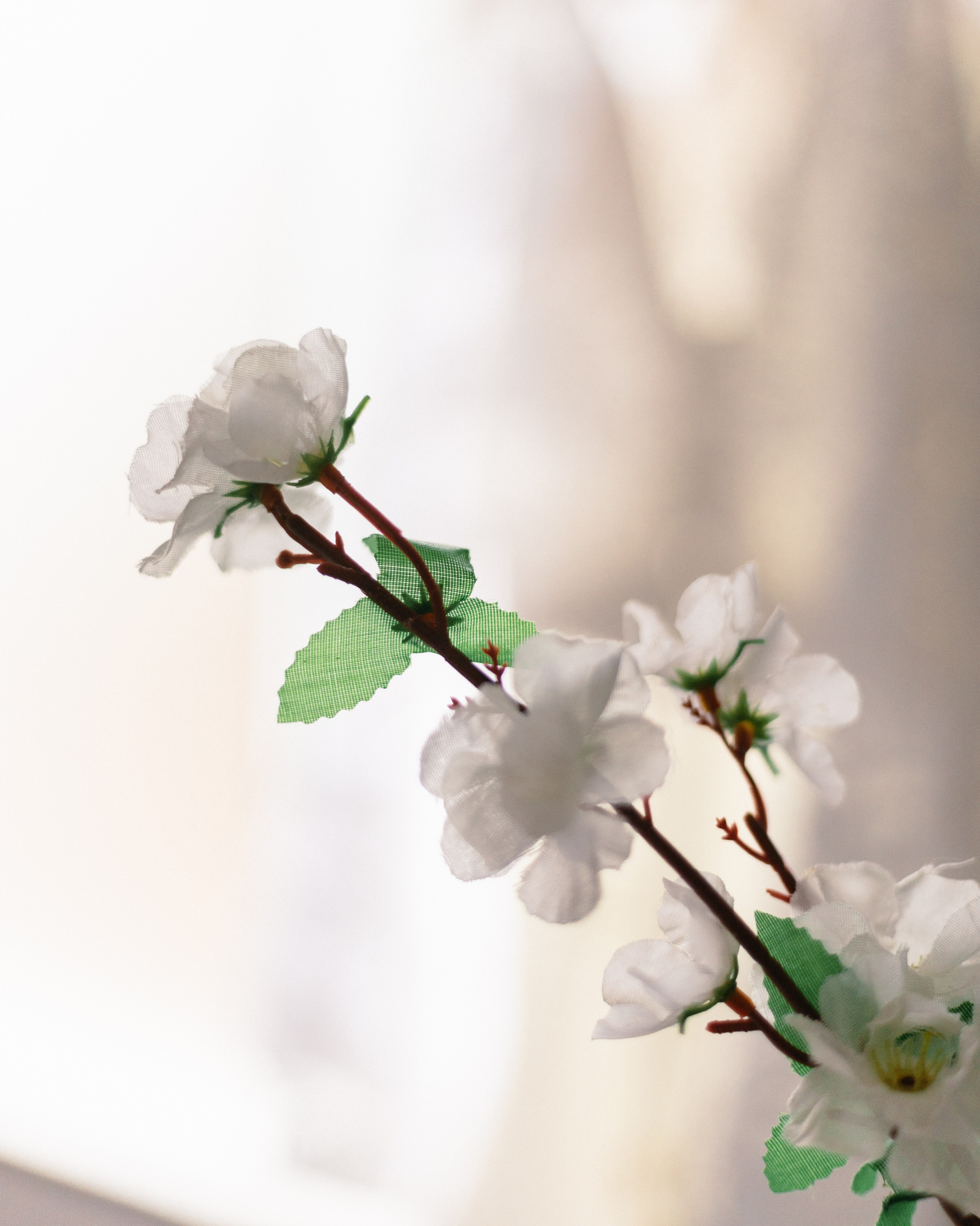 2024 | Rita e Pablo — Detalhes Making Of. Denis Damasceno | Fotografia