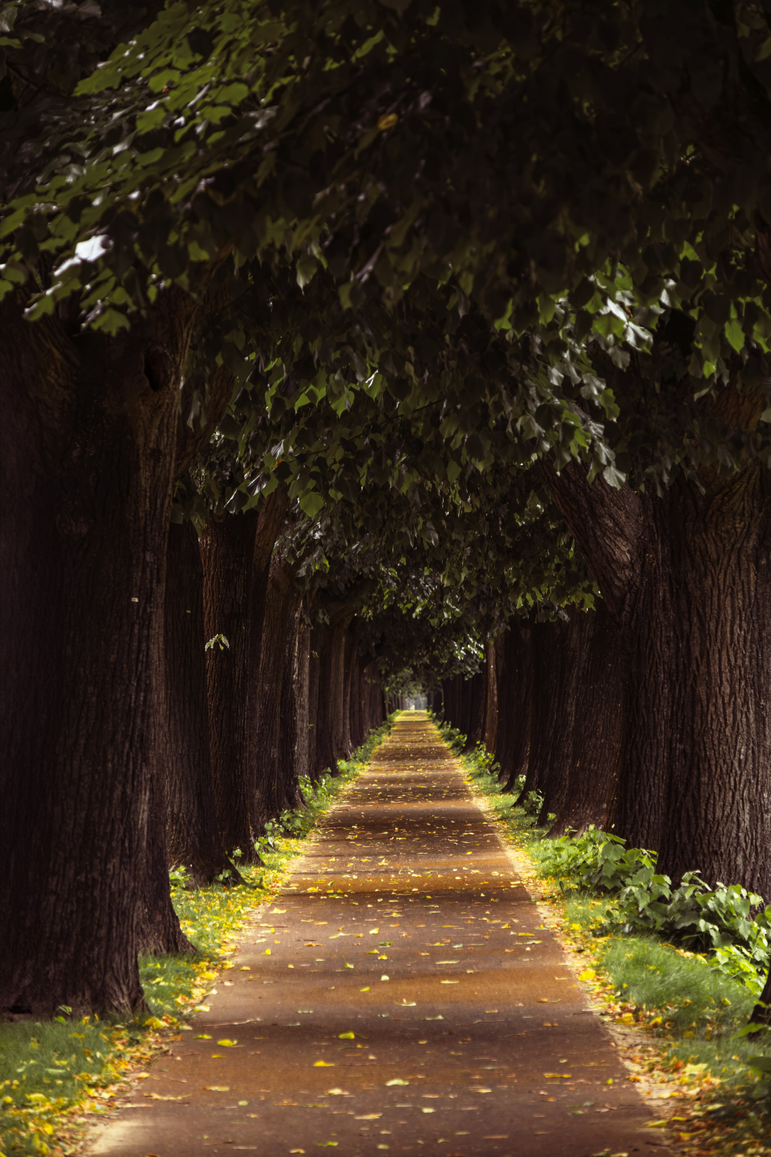 LidiiaFotoLab: Portrait, Event & Hochzeitsfotografin