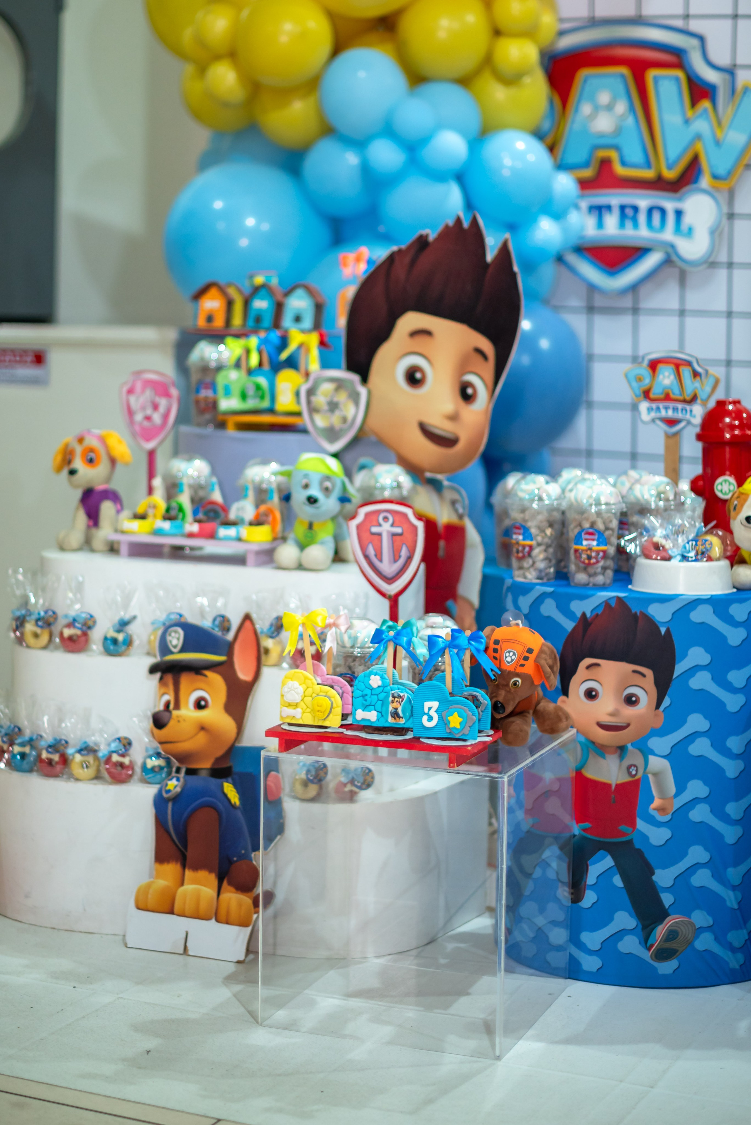 Guilherme 3 anos. Wedding photographer Ana Koshi