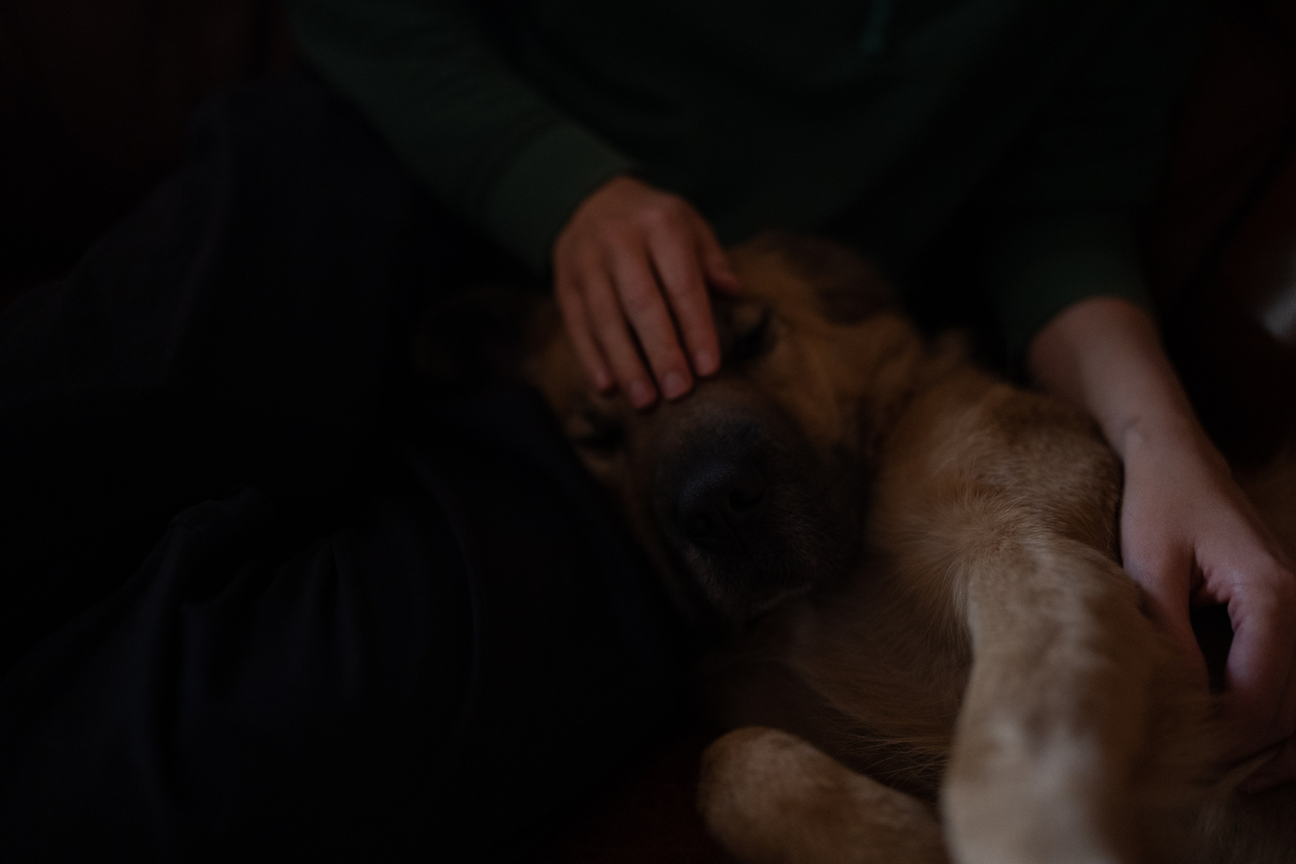 Alena, Vlad and their son Lev. Main