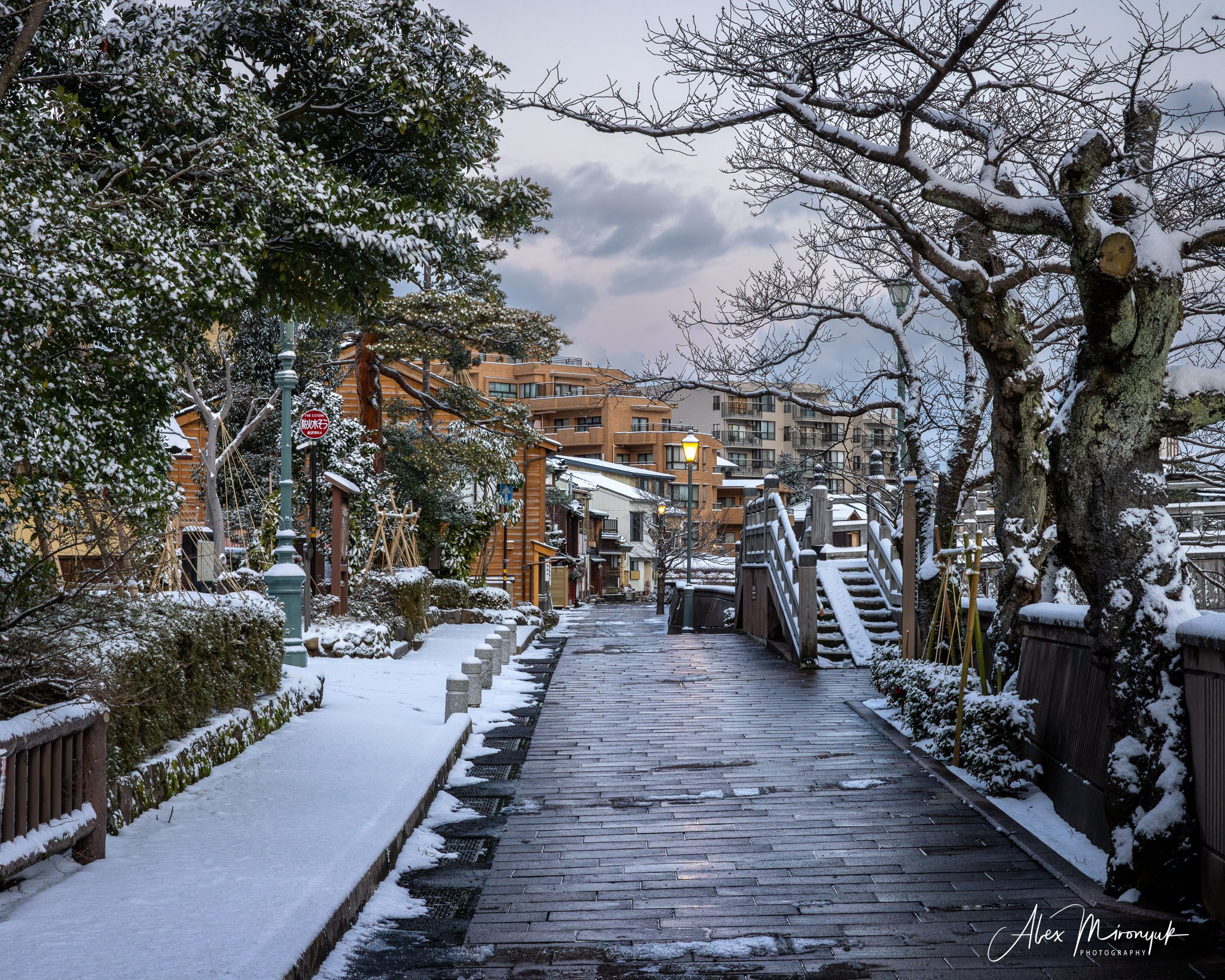 Winter Japan: Snow Monkeys, Castles & Timeless Villages. Pet, Senior, Landscape, portrait studio, photographer in Miami and Sou