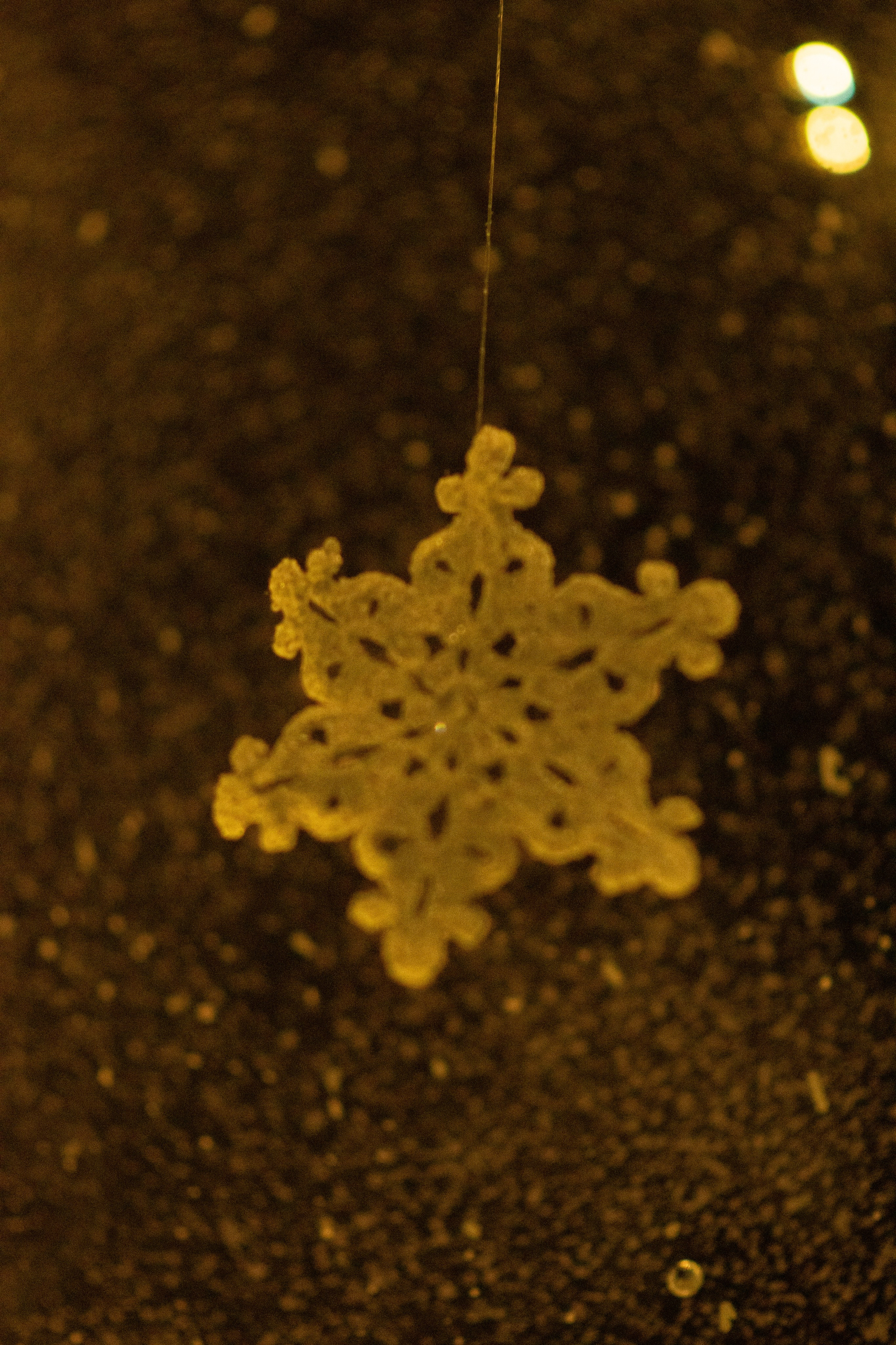 Проект. Семейный и детский фотограф