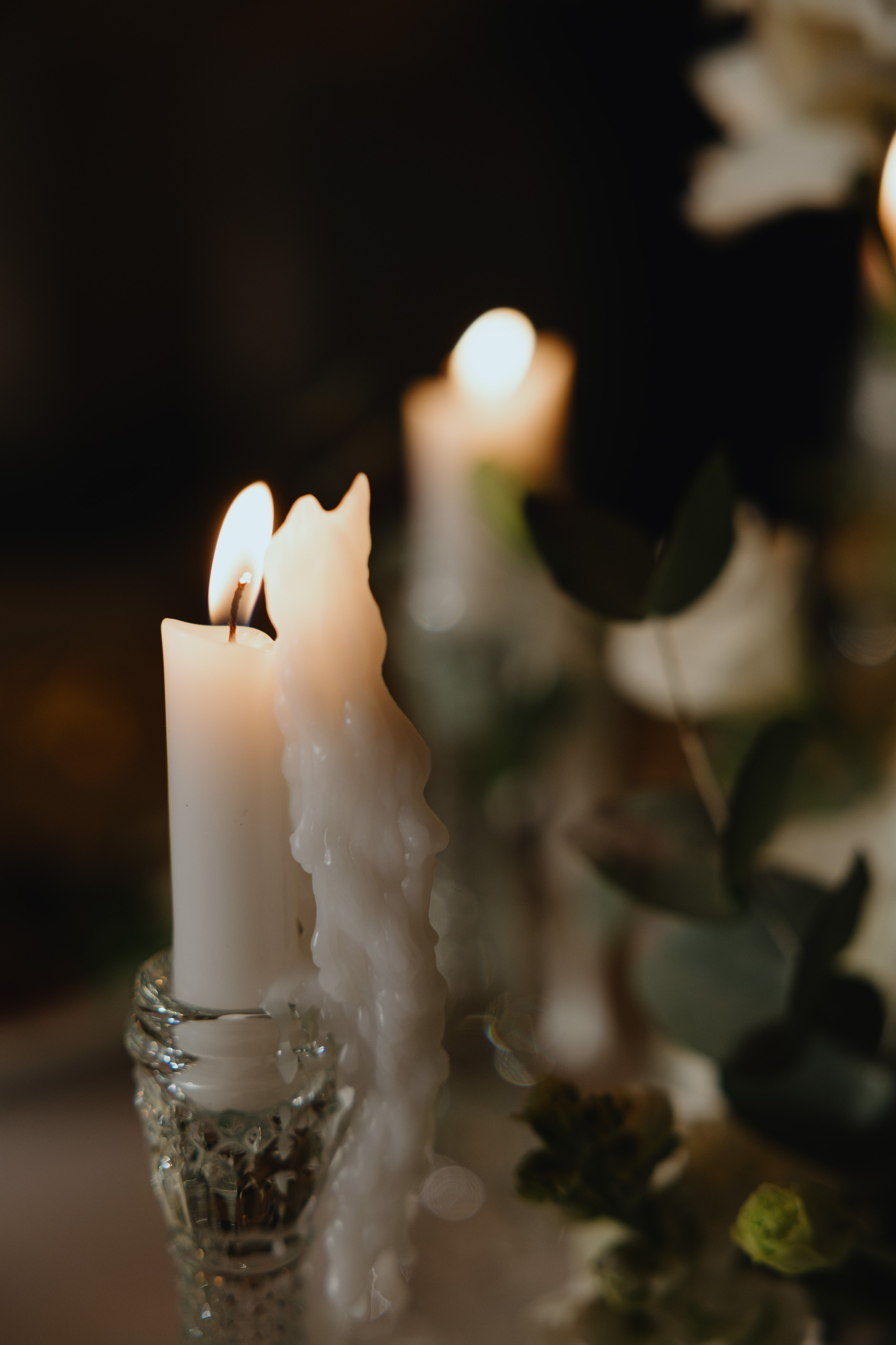 T&M. Профессиональный фотограф в Ташкенте