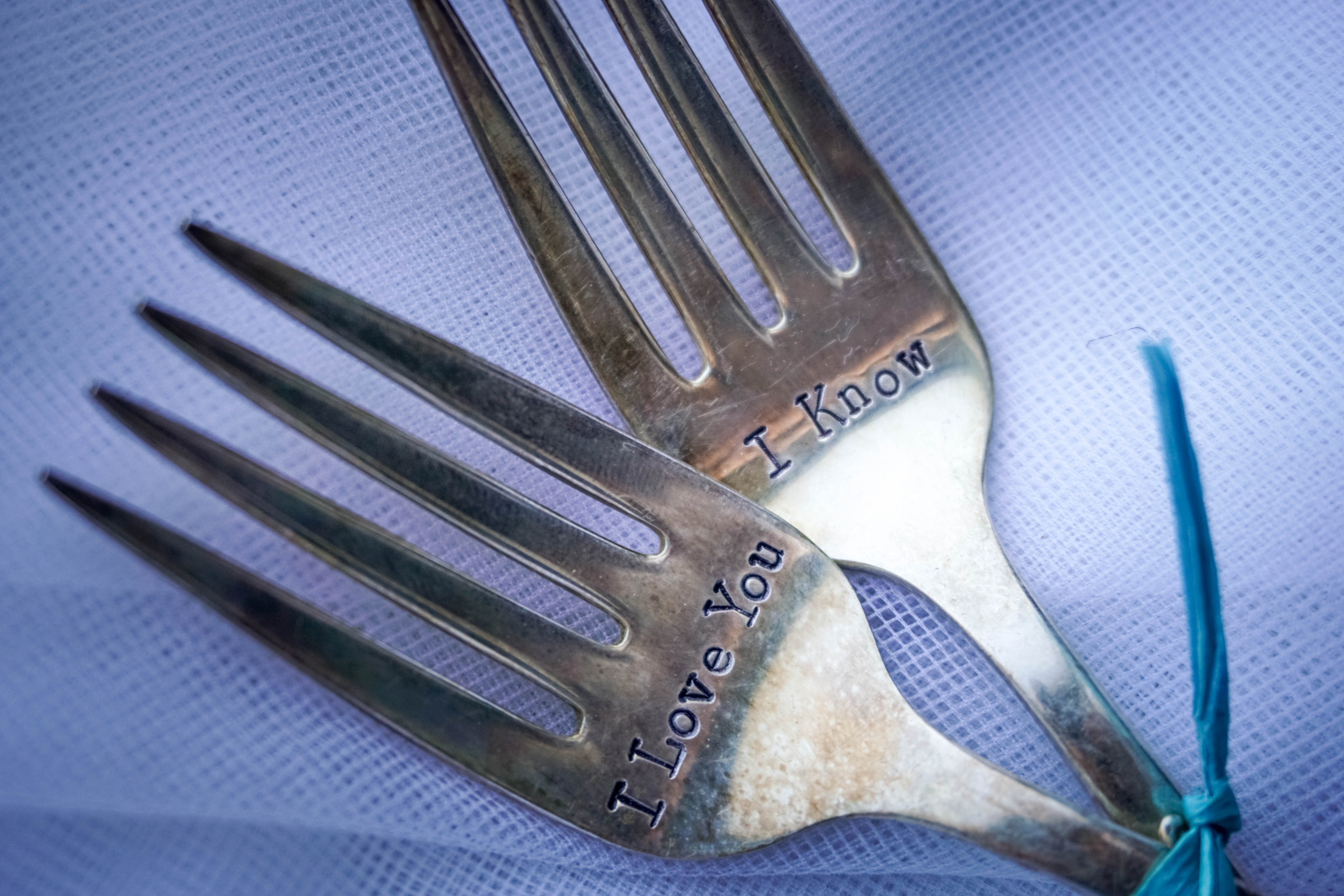 Weddings. Detroit Family and Lifestyle Photographer — Albina Littles