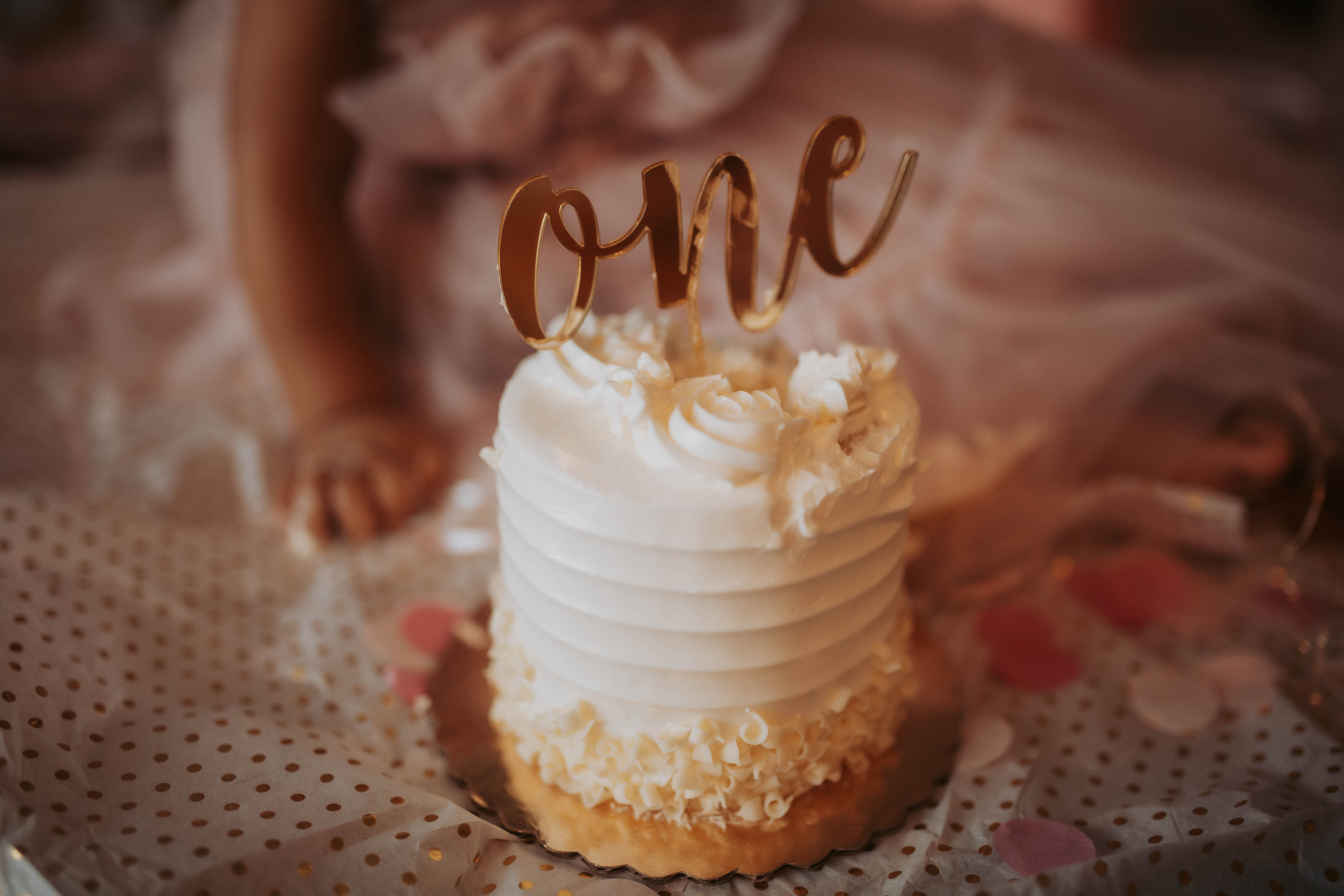 Family/Lifestyle. Detroit Family and Lifestyle Photographer — Albina Littles