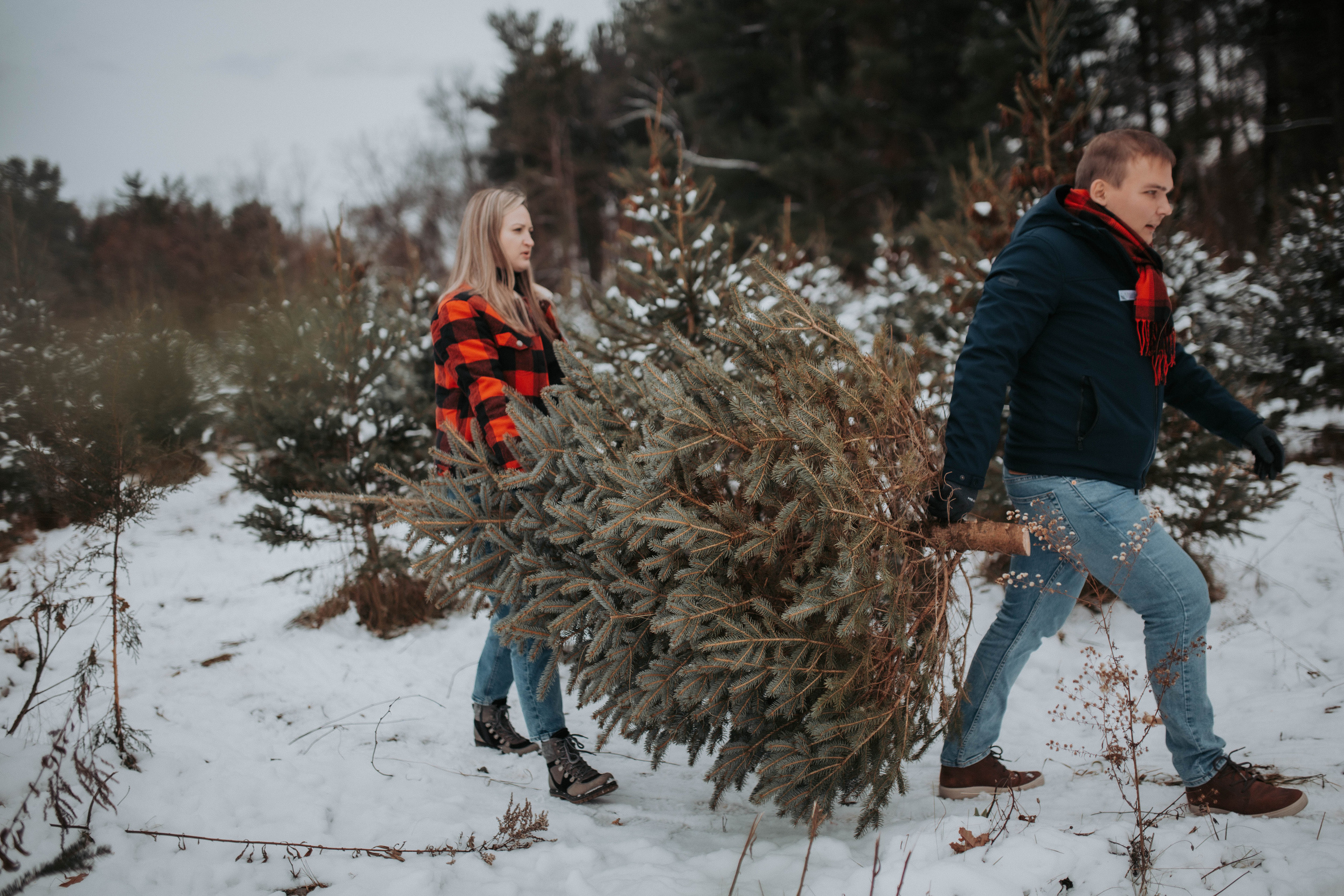 Love Story/Engagement. Detroit Family and Lifestyle Photographer — Albina Littles