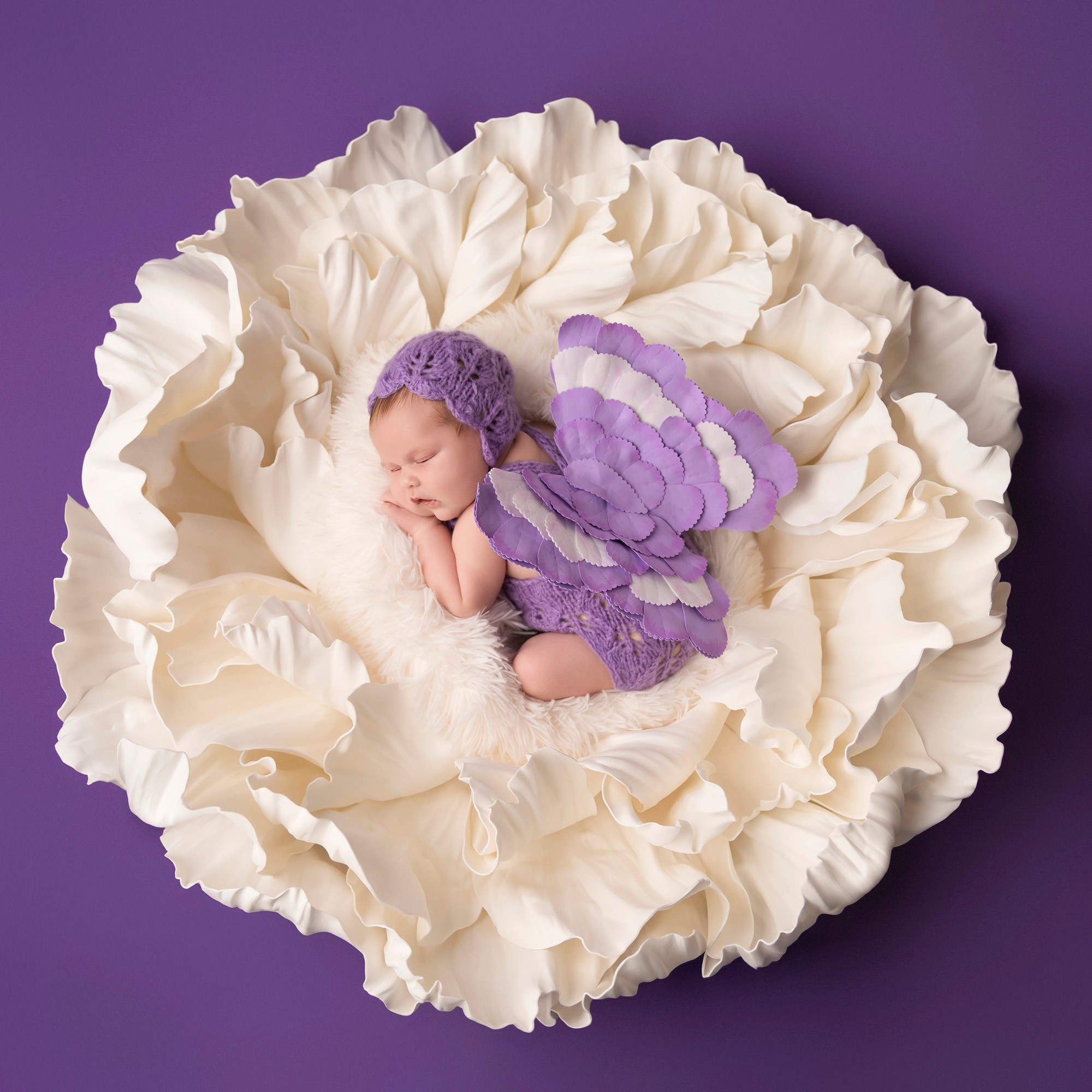 Newborn photos. Newborn photographer in Tampa Bay Area, FL