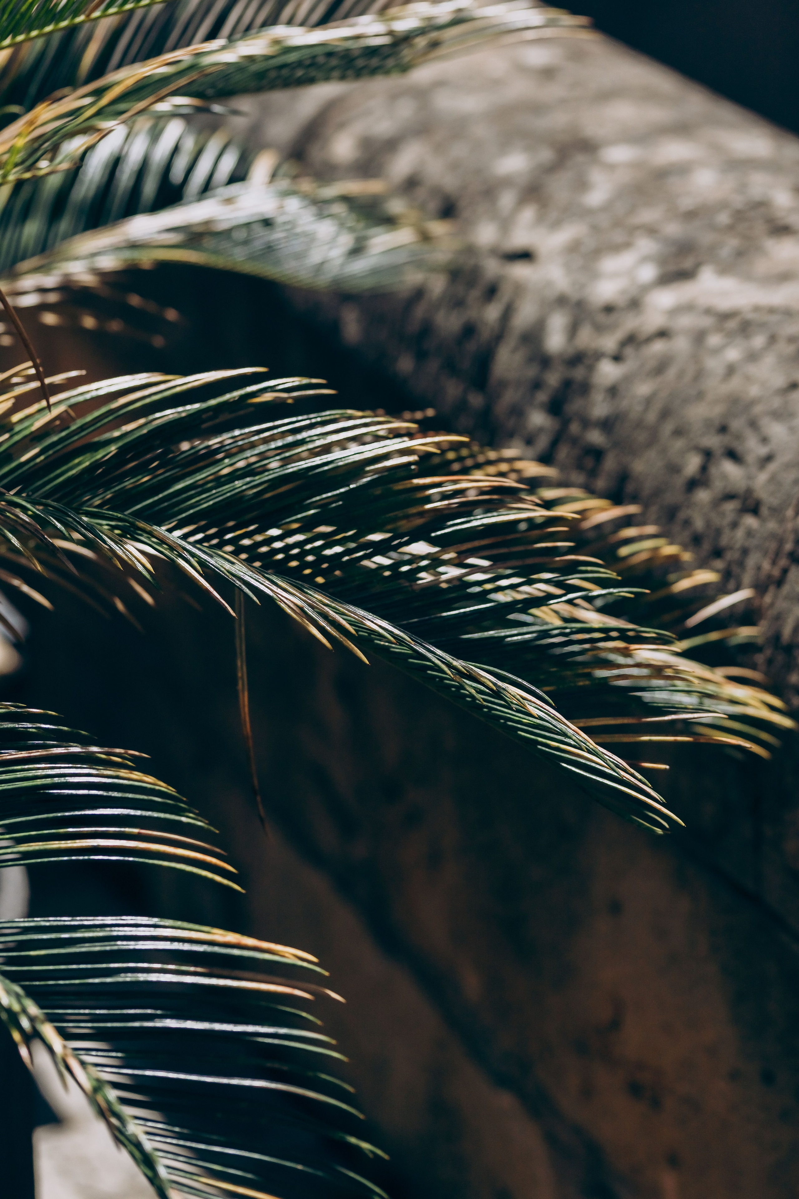 Romantic Couple Session — Mallorca Old Town. Фотограф у Пальма де Майорка