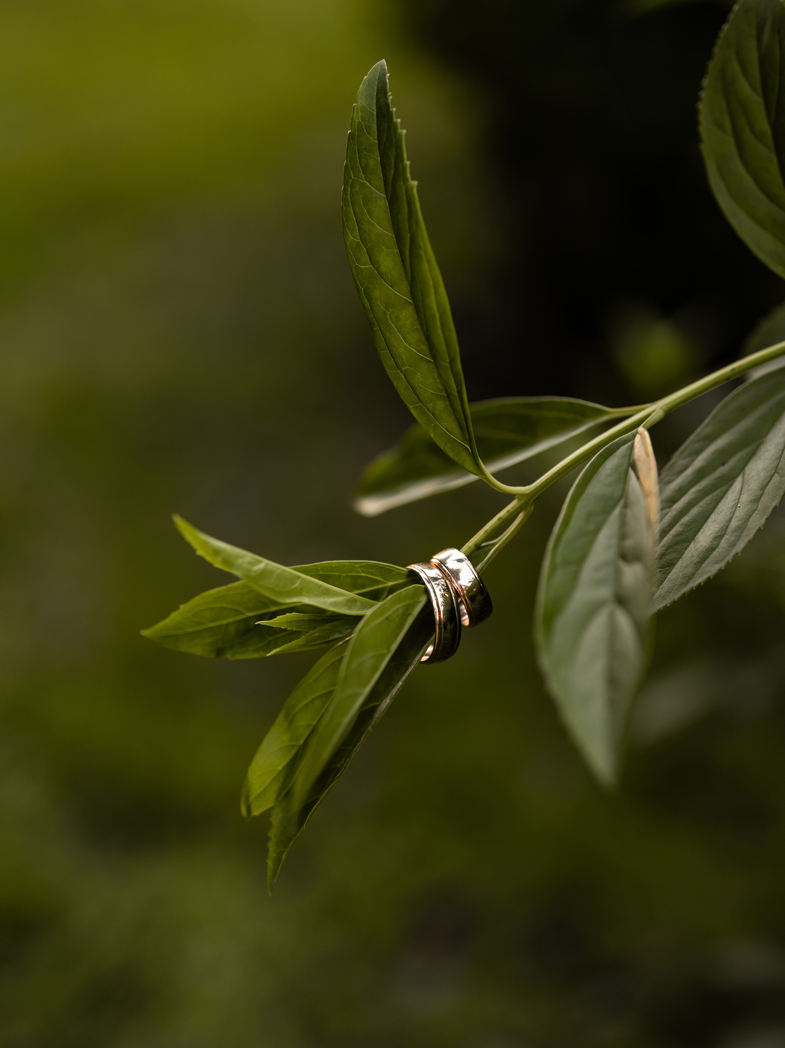 Послуги. Ekaterina Verbitskaya. Photography