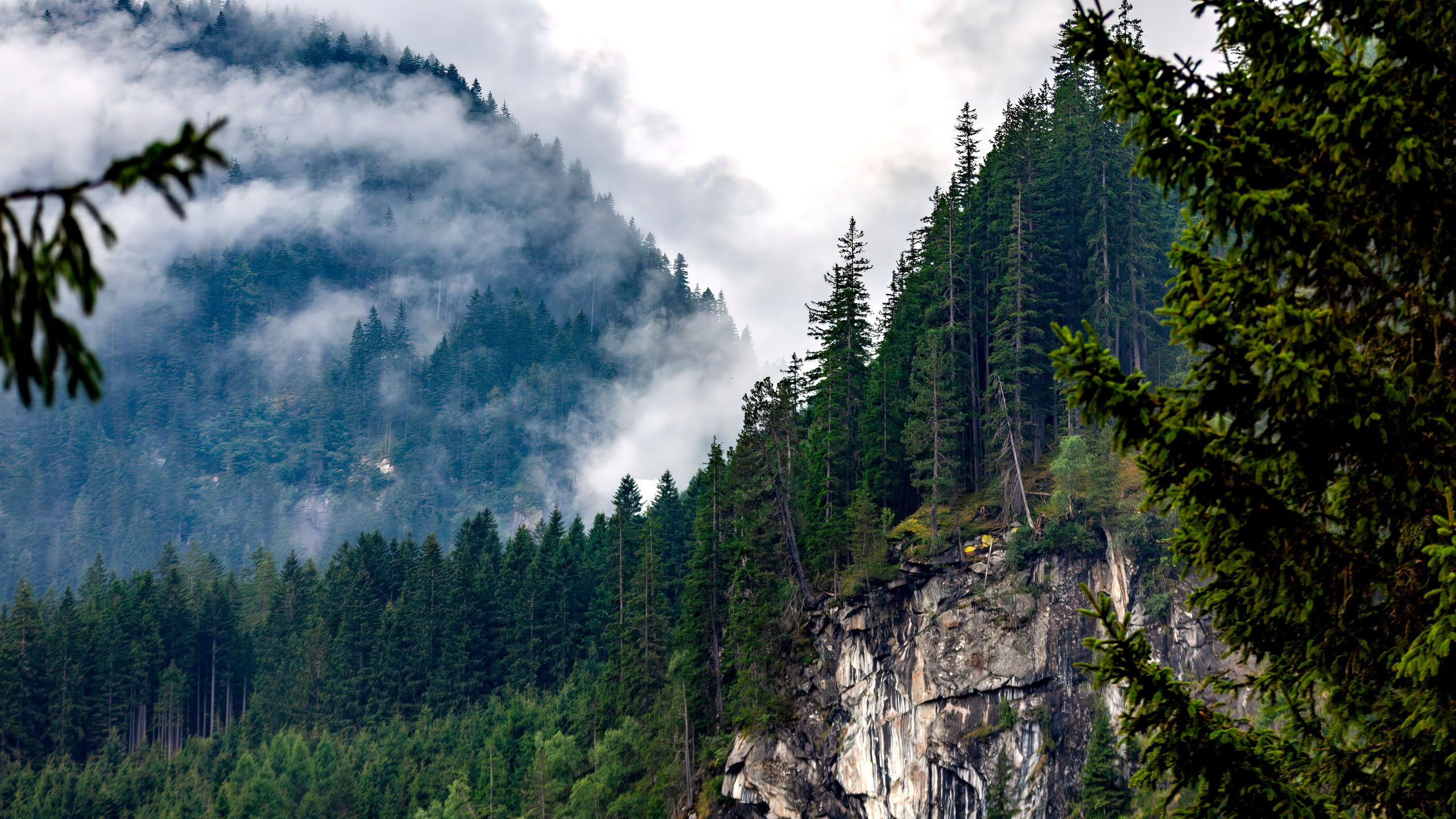 191.Oberpinzgauer Nationalpark Vorfeld.Austria.16.8.2025. Путешествия в формате 360......