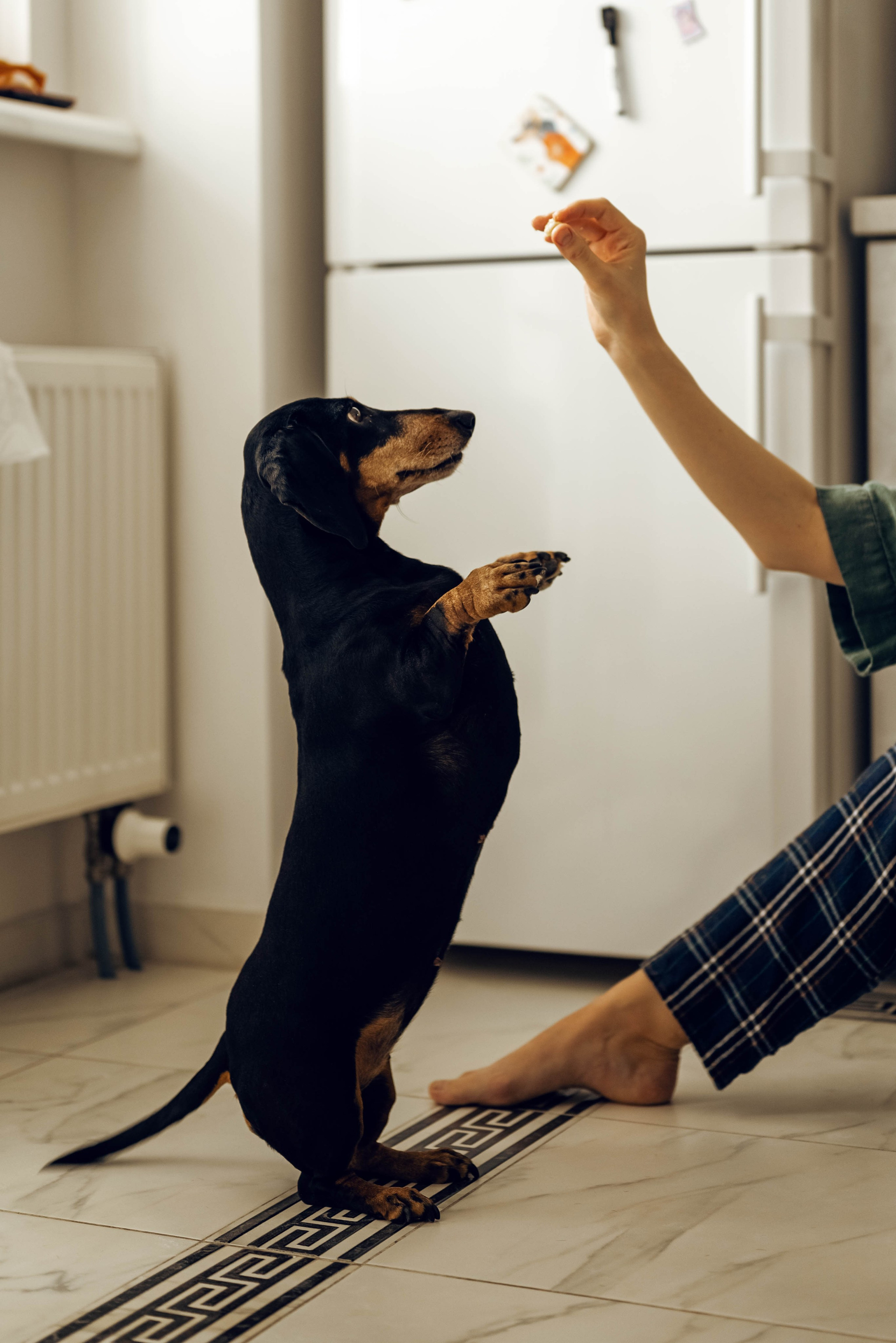 Александра, Николай, Соломия. Фотограф Ирина Новикова