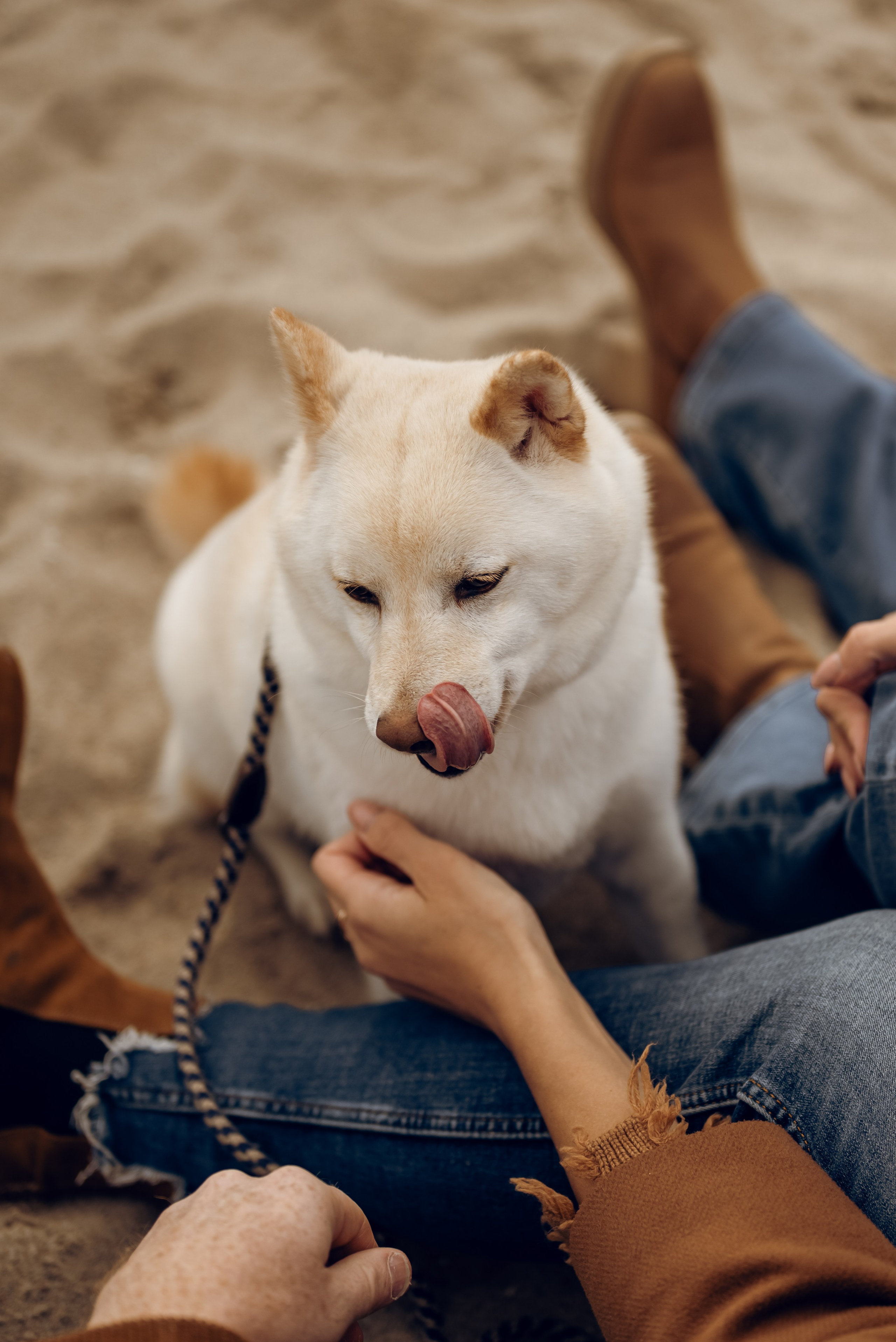 Katya & Nick. Photographer Irina Novikova