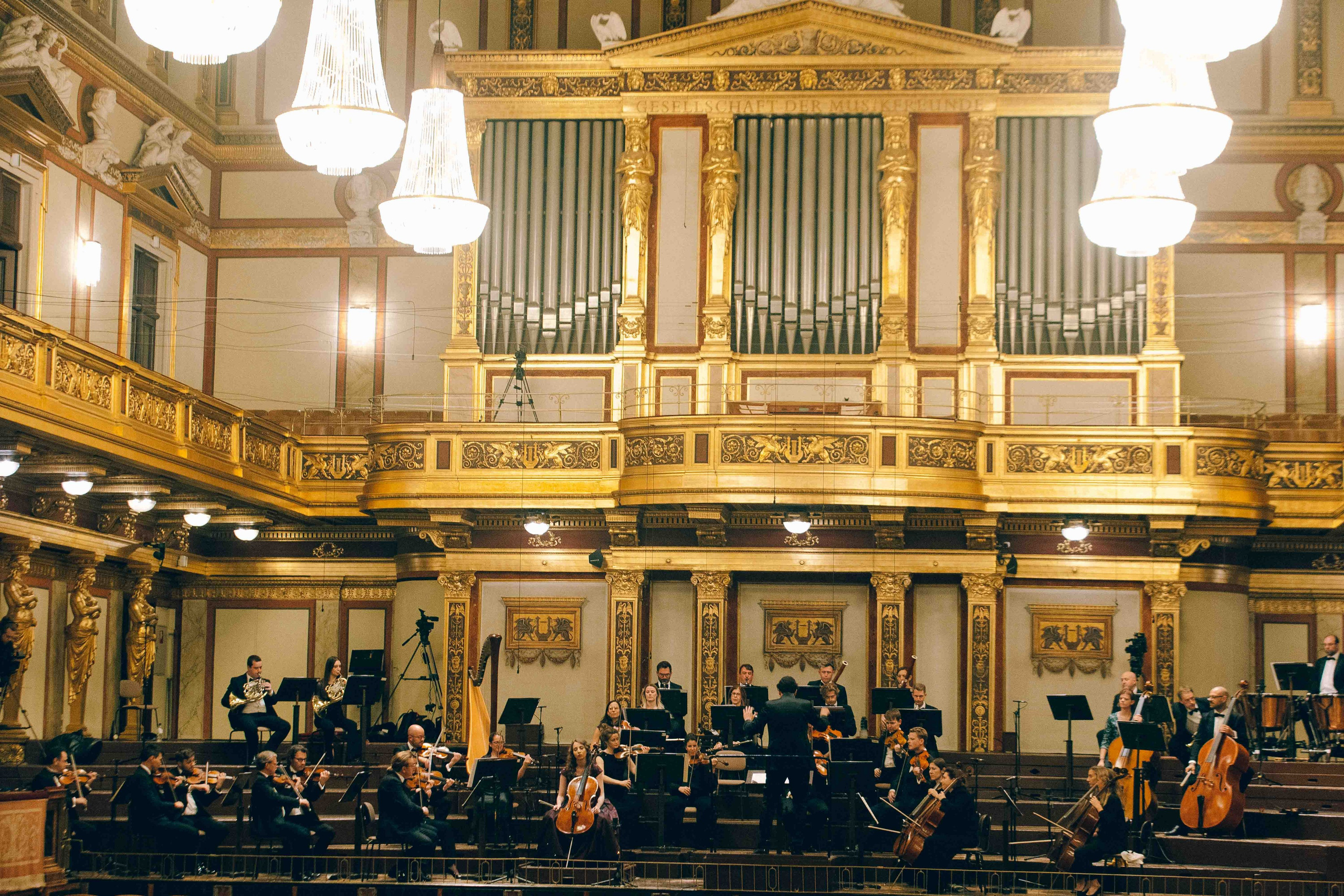 MUSIKVEREIN (VIENNA). Wedding&Event photographer Ismail Rzayev in Baku