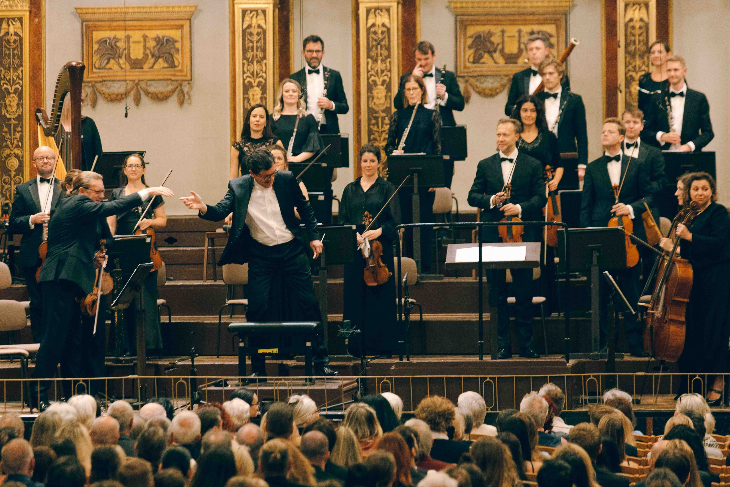 MUSIKVEREIN (VIENNA). Wedding&Event photographer Ismail Rzayev in Baku