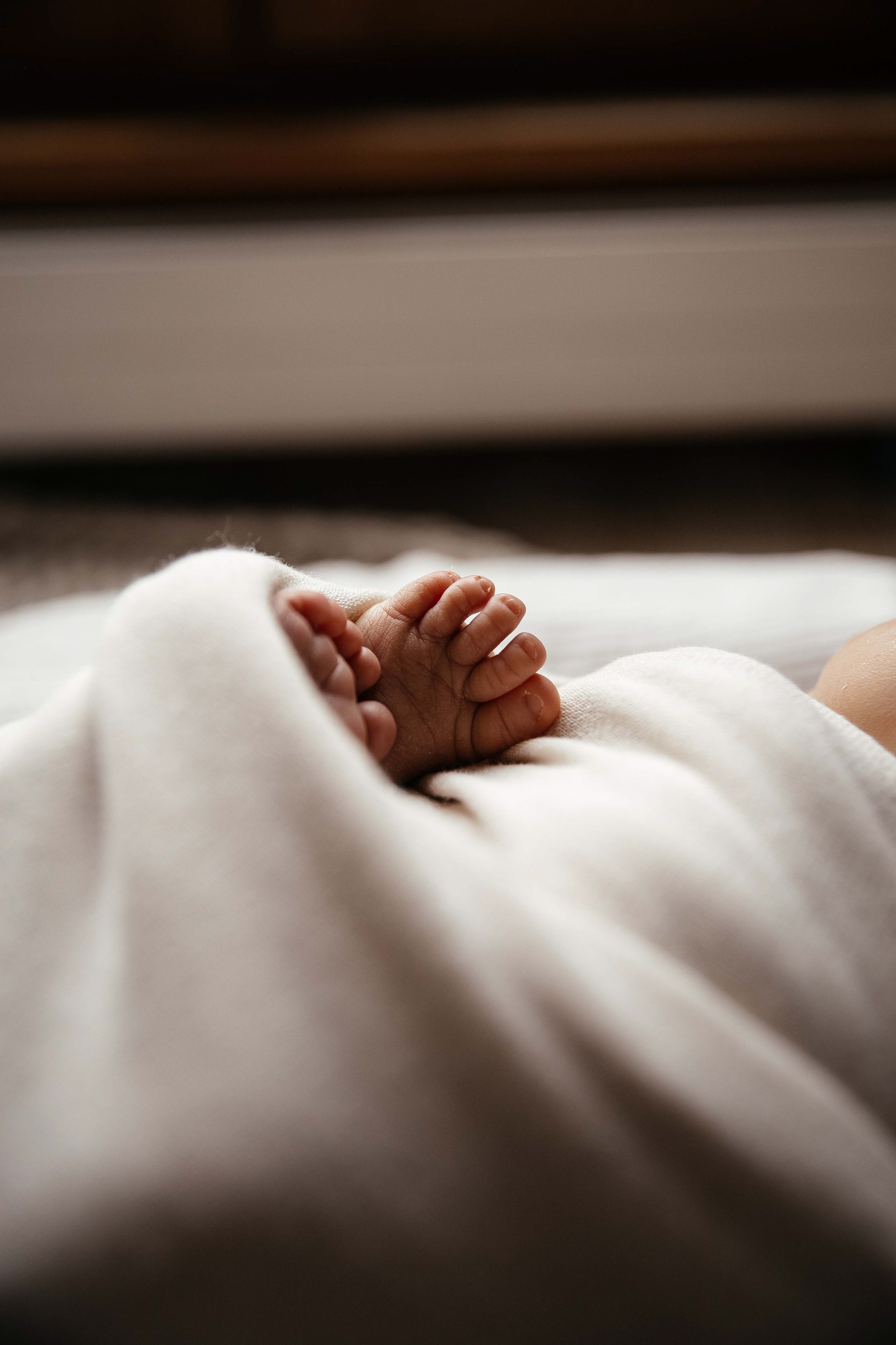 Newborn (Homestory). Wedding Photographer