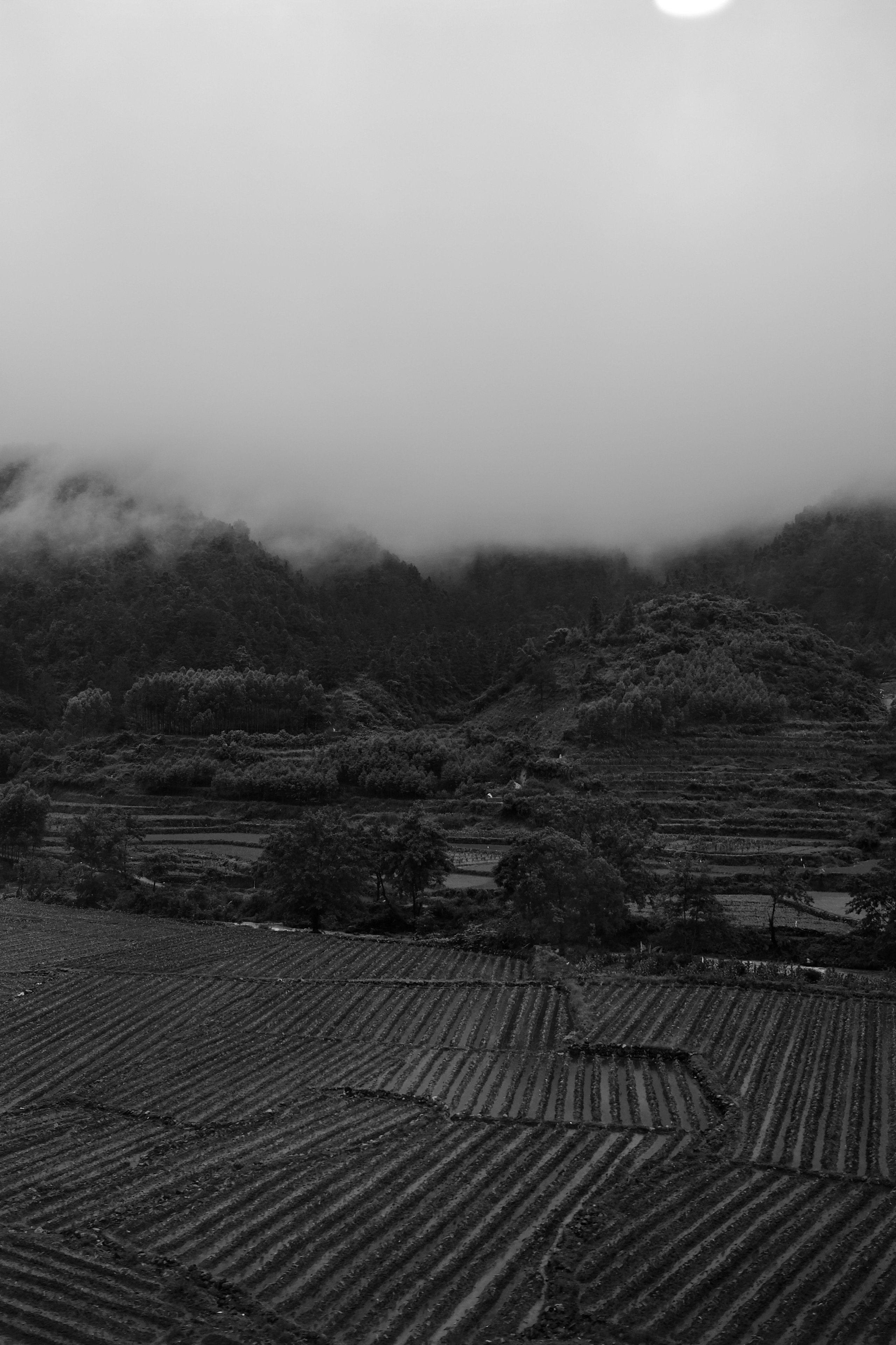 Yangshuo China Guiling. Фотограф В Гуанчжоу и Шэньчжэнь Андрей Лопатин