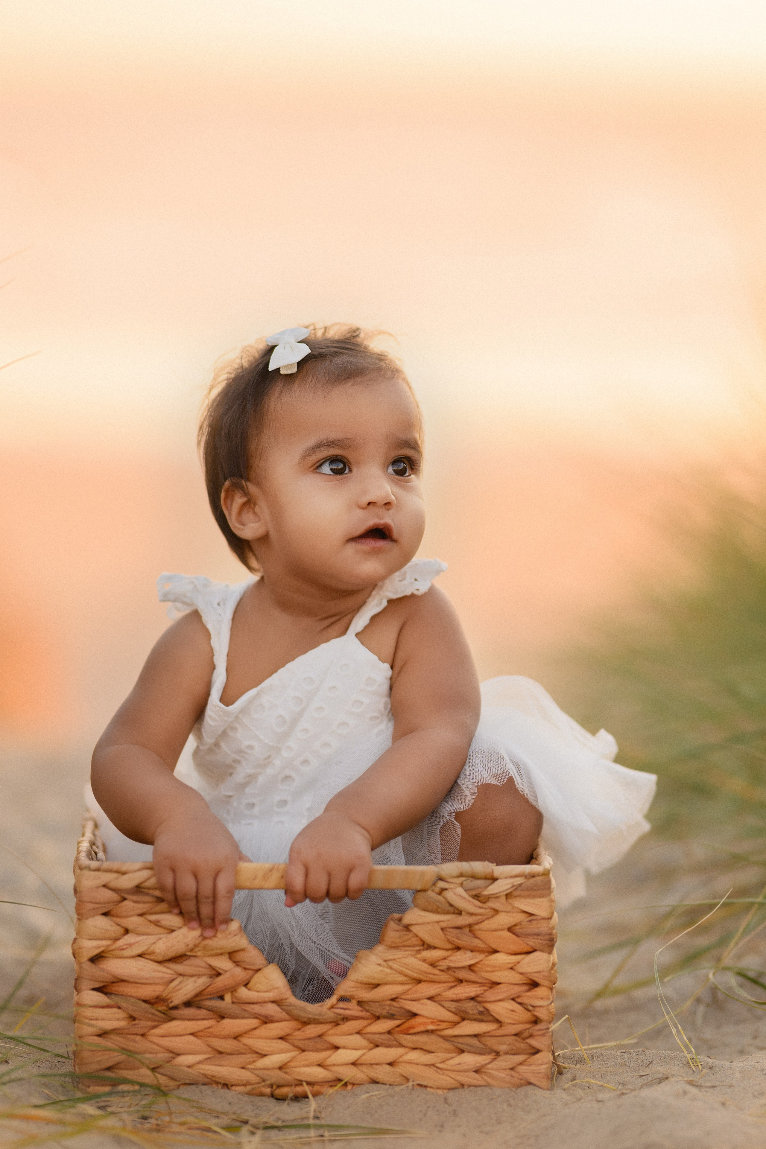 Praveena’s family. Wedding & portrait photography in the Seattle Area. Helen Michelle photographer