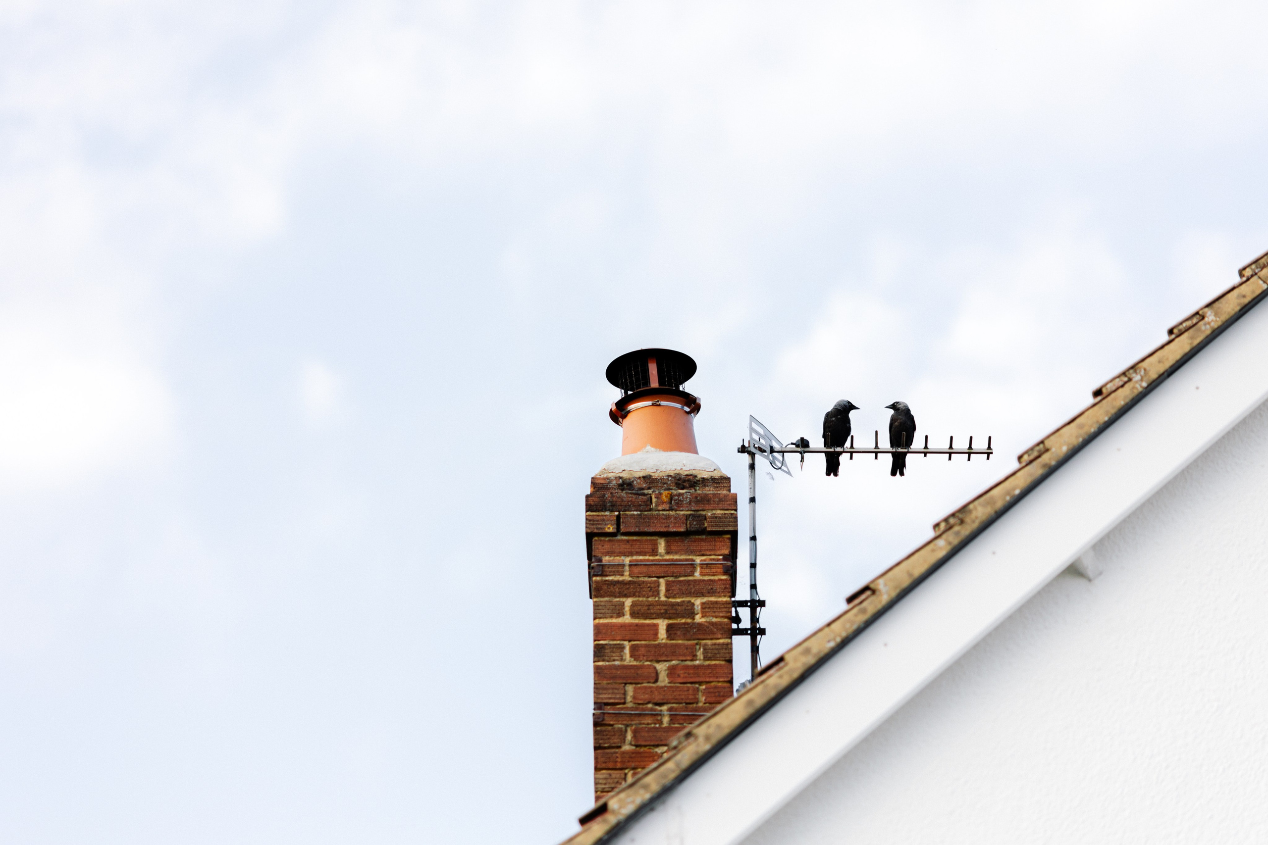 Paula & Ed — Maidstone. August, 2022. Timeless Wedding & Event Photography from London to the world