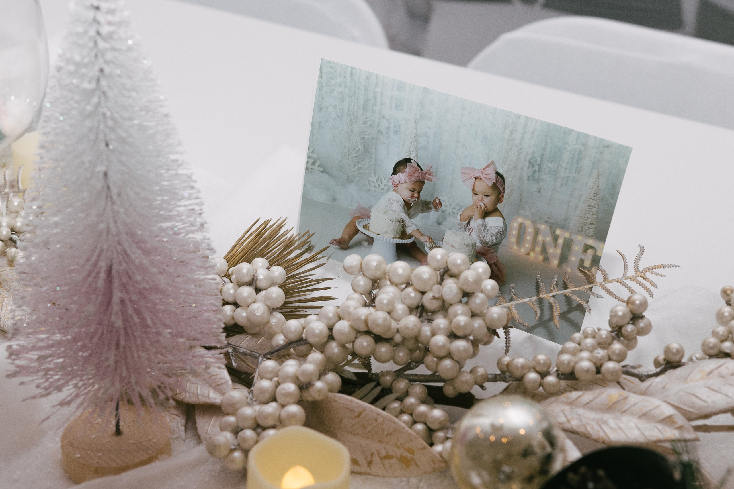 Twins Birthday. Sara Eulalia | Virginia Photographer