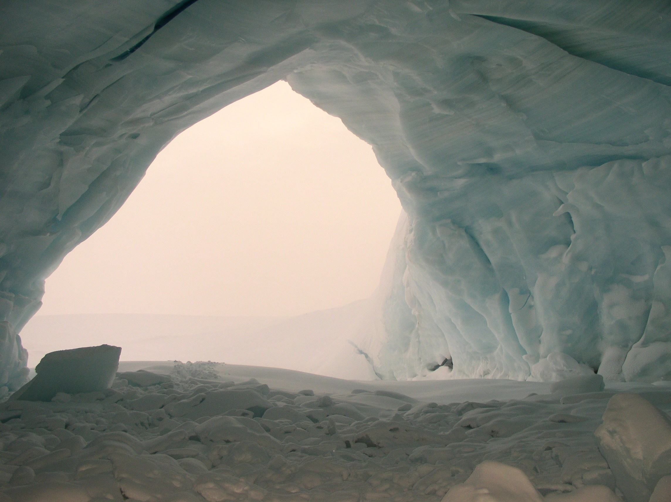 ANTARCTICA. Reportage concert portrait photography in the San Francisco Bay Area