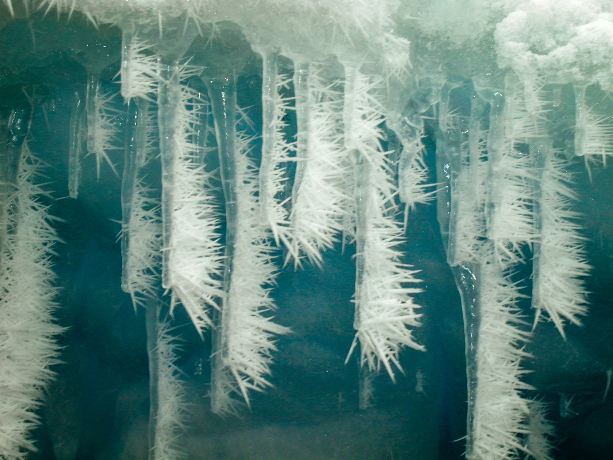 ANTARCTICA / 2004. Reportage concert portrait photography in the San Francisco Bay Area