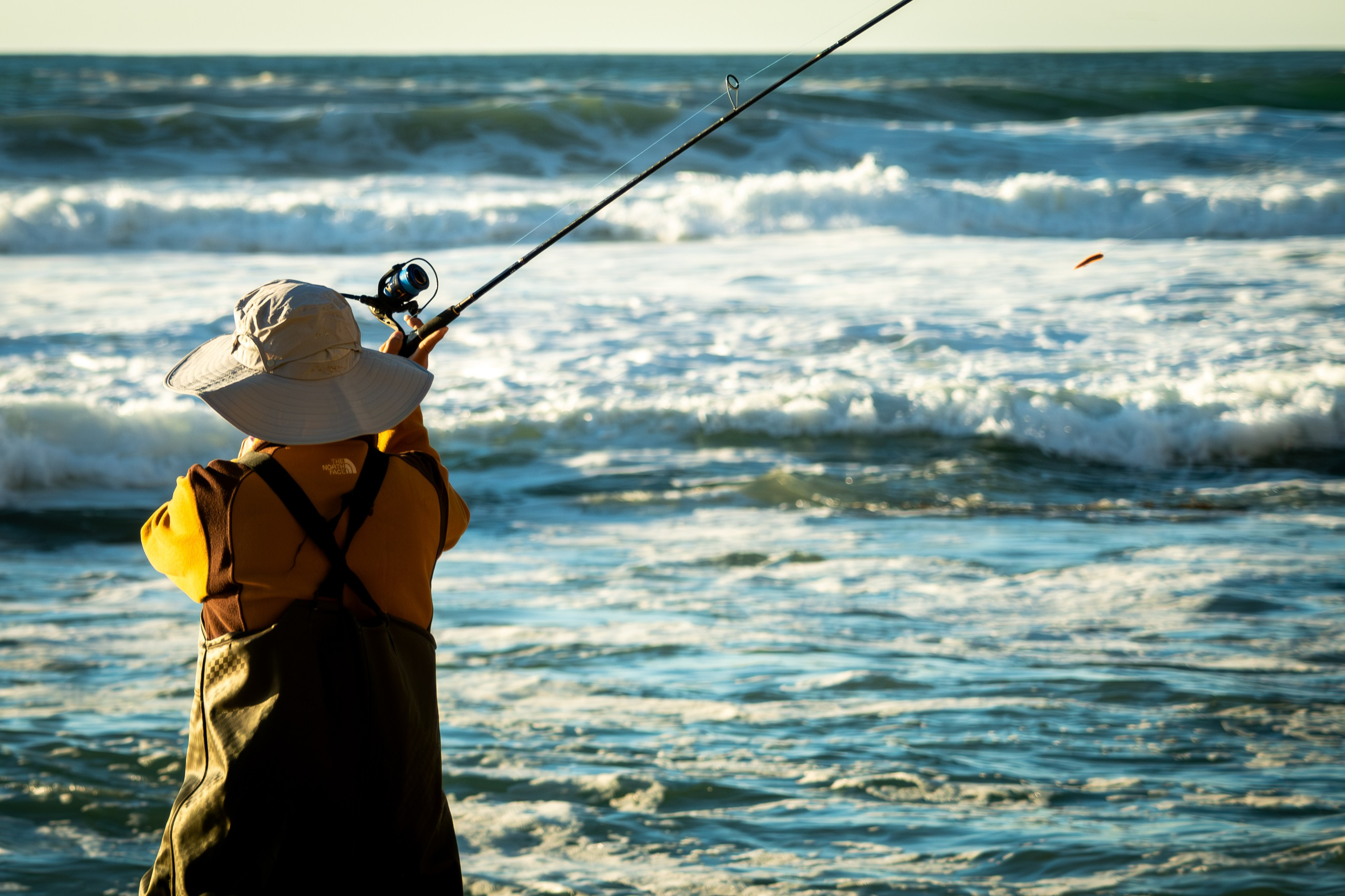 NATURE. Reportage concert portrait photography in the San Francisco Bay Area