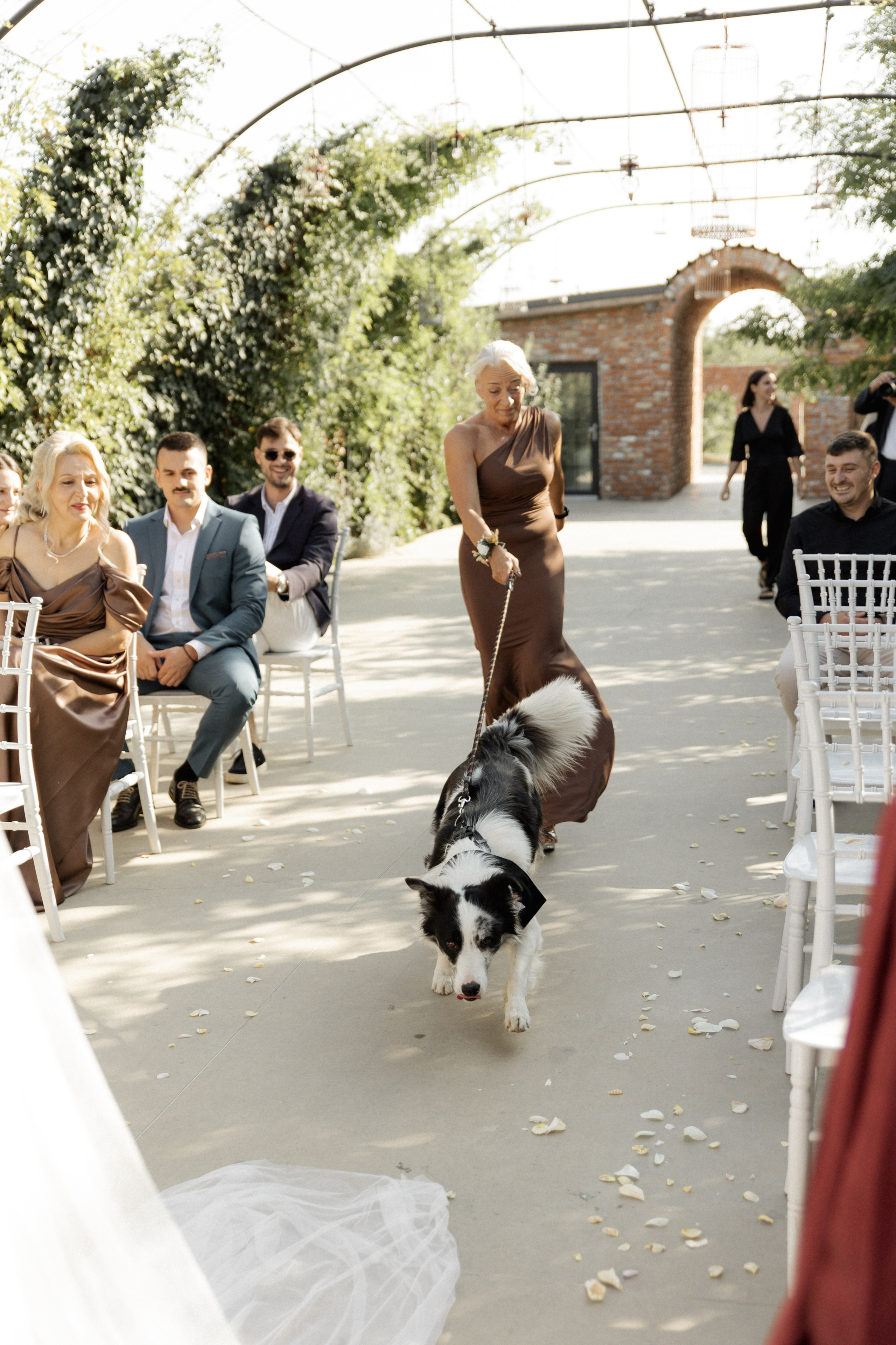 Wedding at Province Timisoara | Cristina & Robert. Wedding photographer and videographer based in Timisoara, Romania