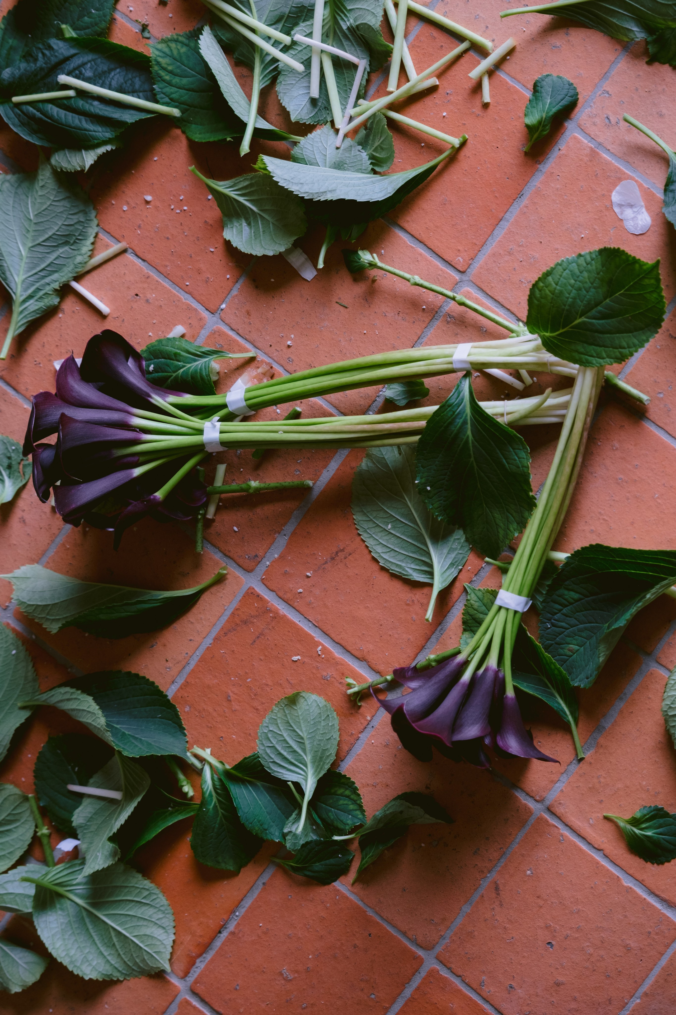 Portfolio. Wedding photography — EMU Photos