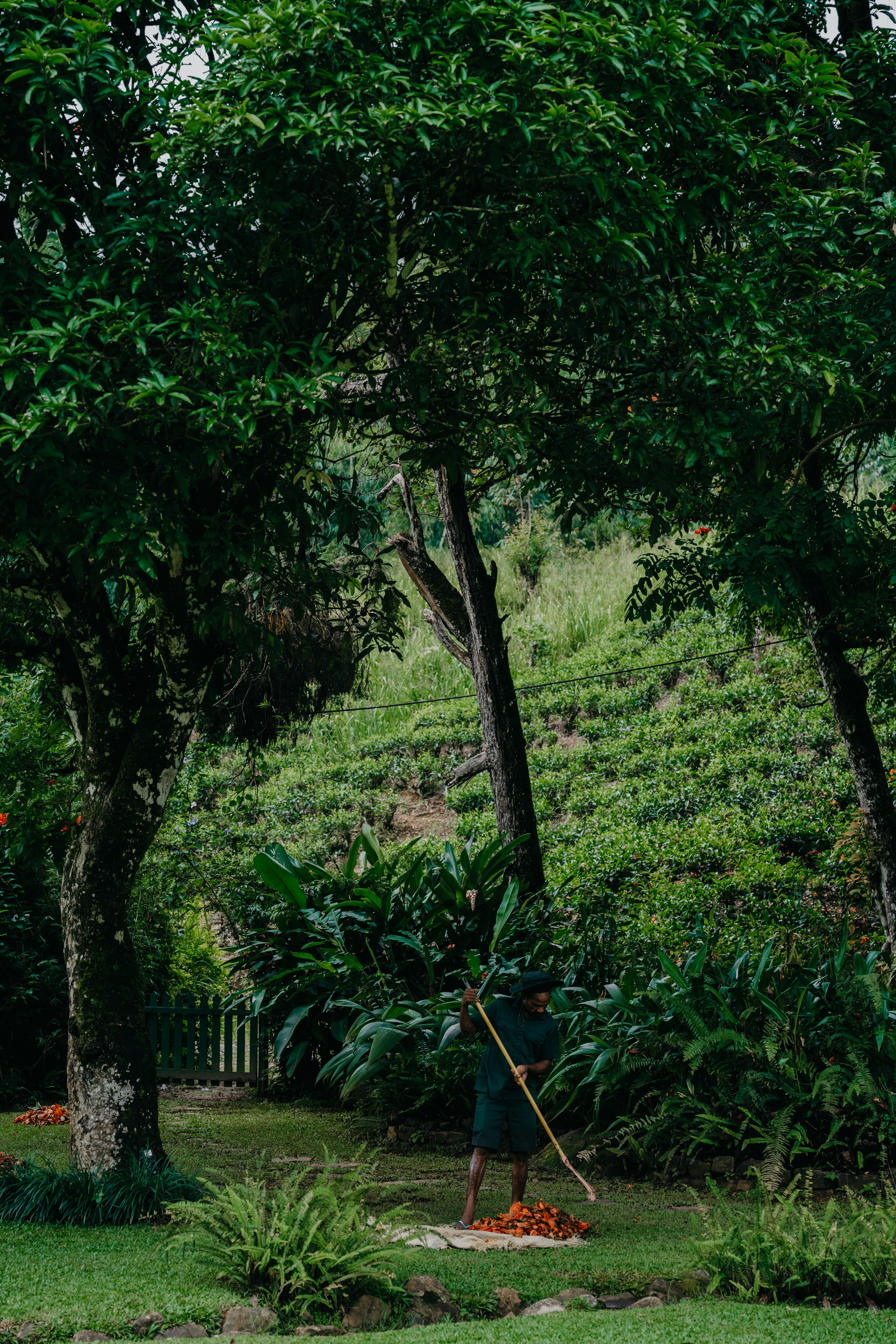 Relais & Châteaux, Tea Trails, Sri Lanka. Editorial photographer Yuliya Drazdovich